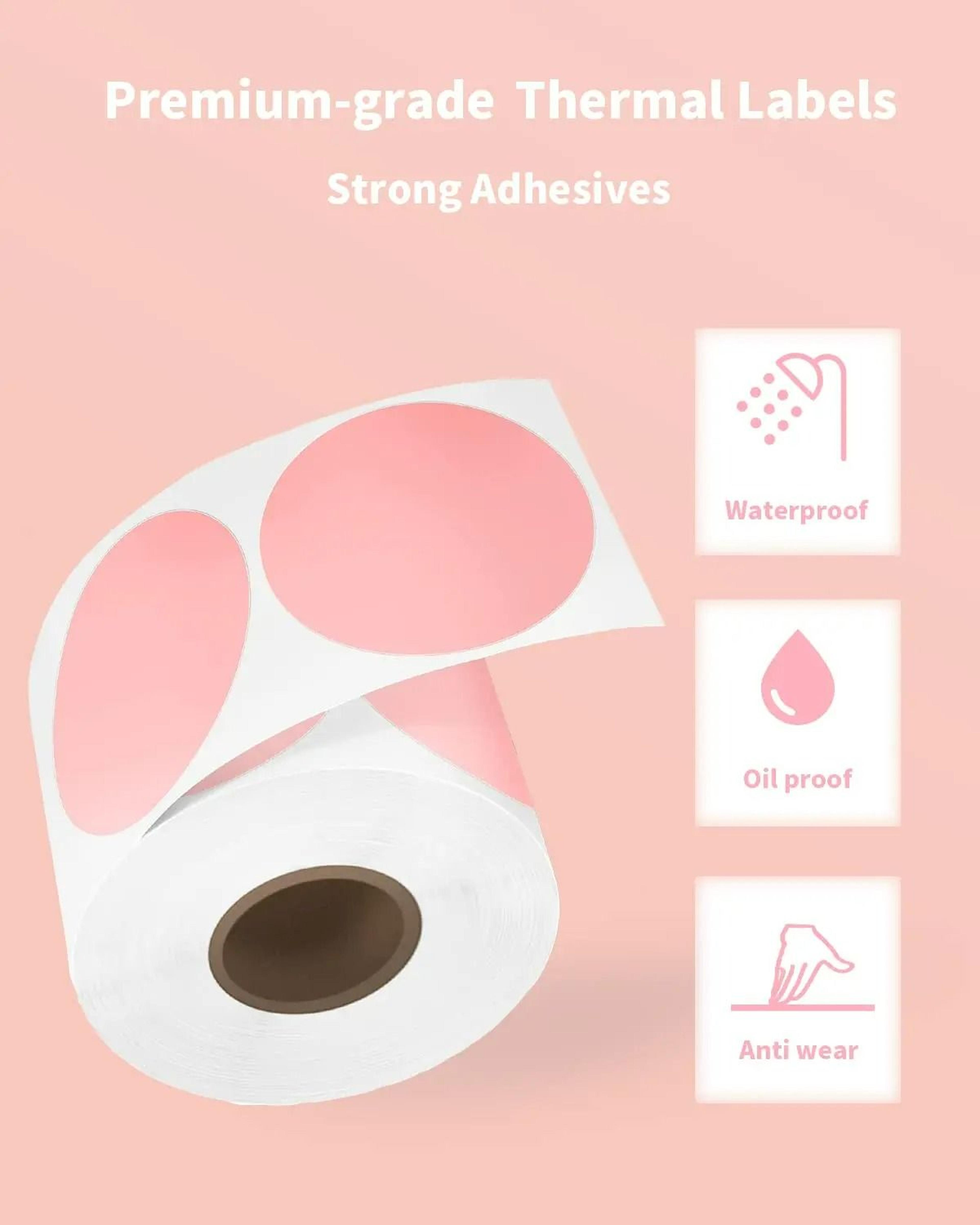 ColorNest Phomemo Decorative Label Stickers 3