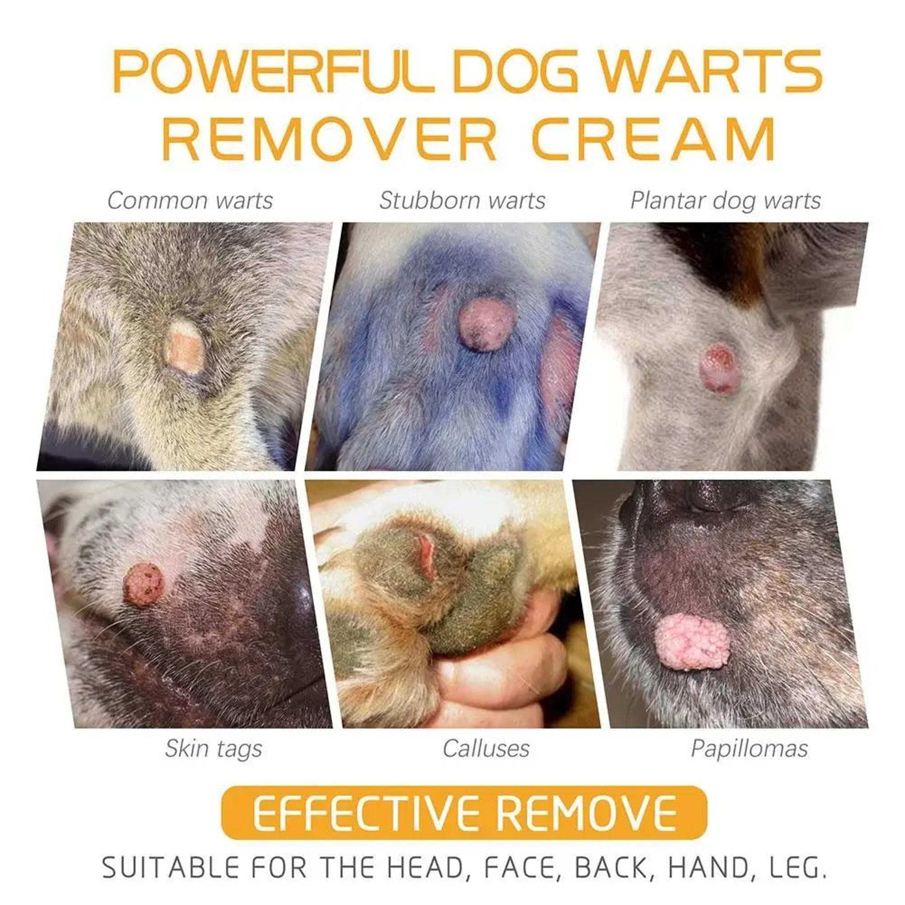 Natural Dog Wart Remover Cream 20g Fast Gentle Skin Treatment 4