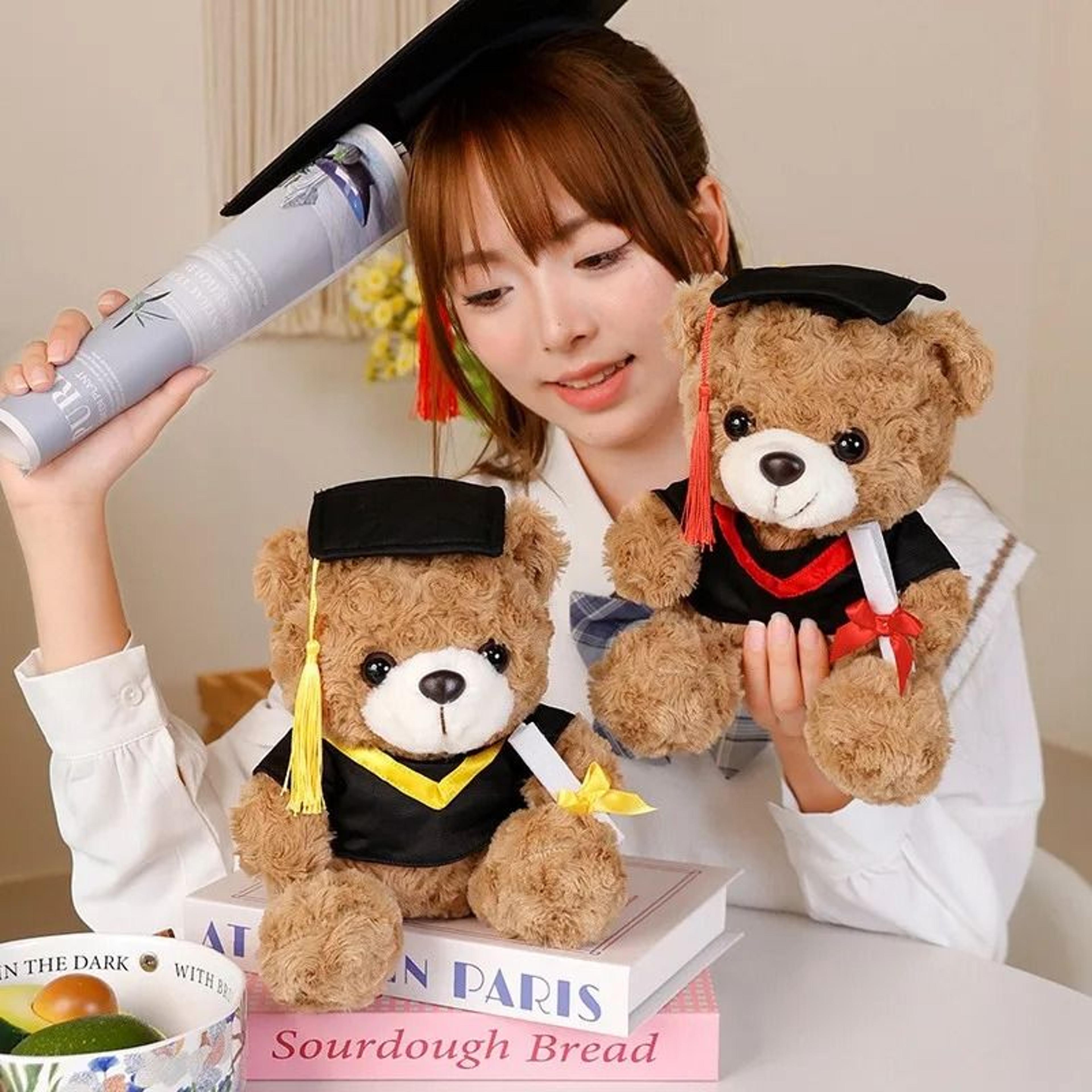 Dr Bear 25cm Graduation Plush Toy 1