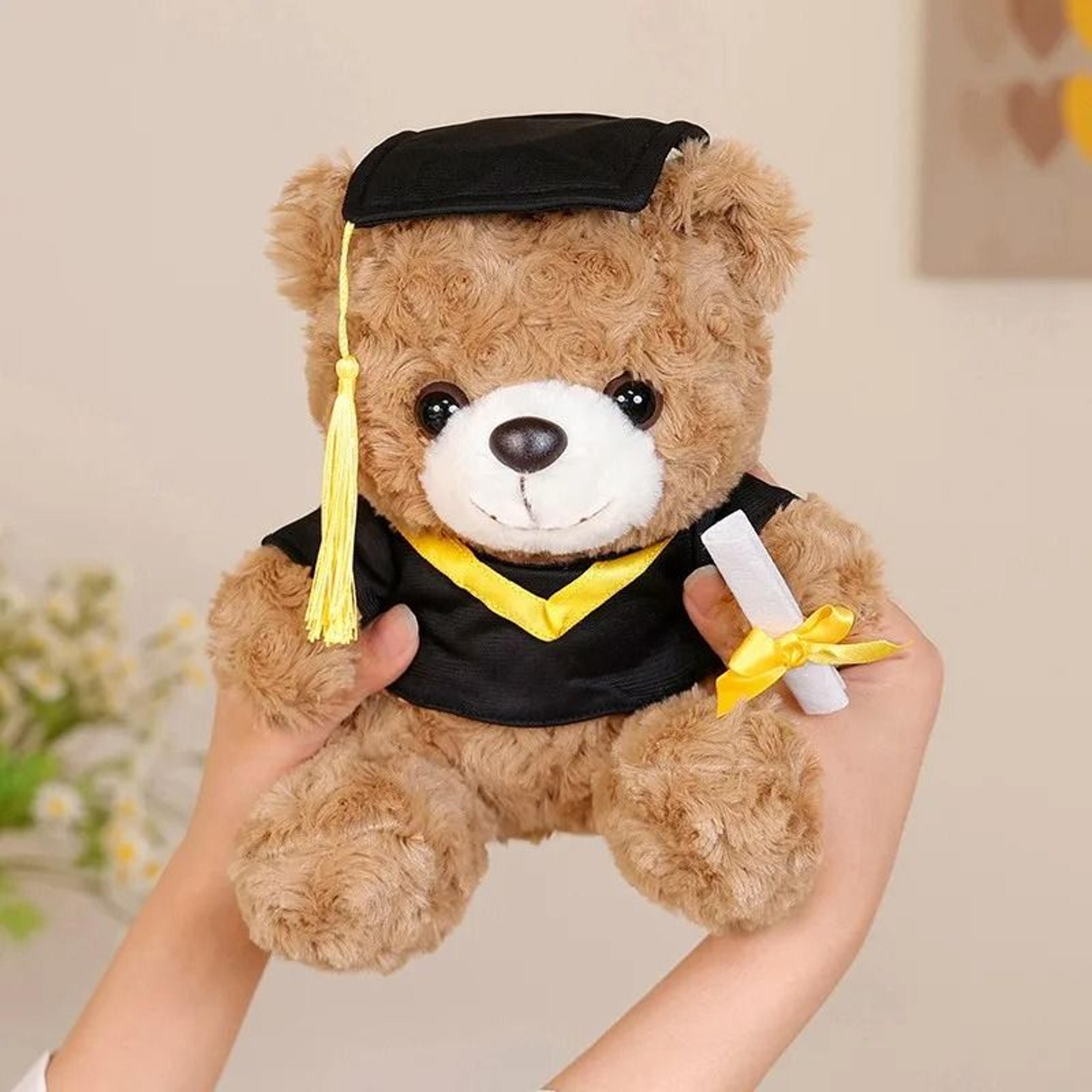 Dr Bear 25cm Graduation Plush Toy 5