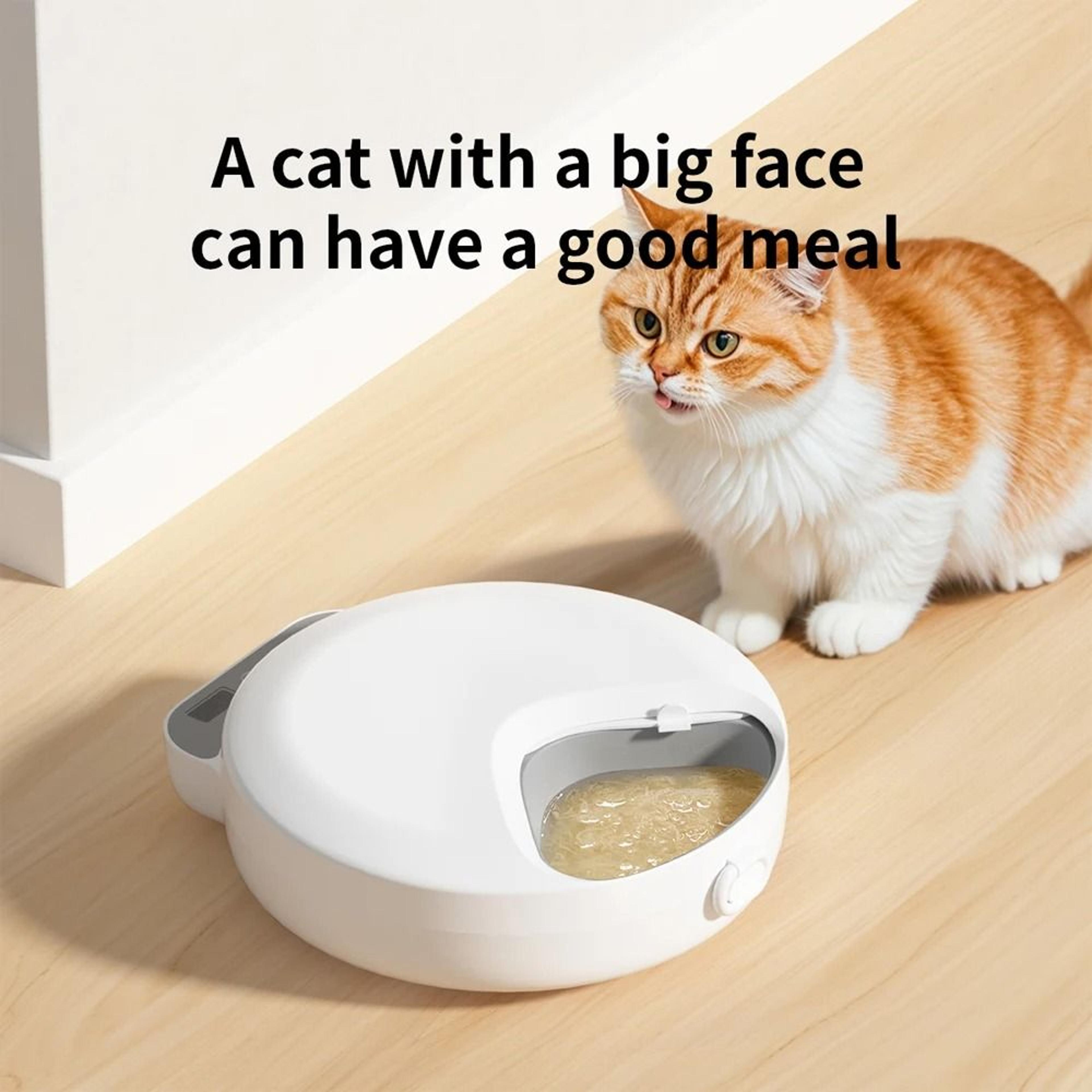 Automatic Pet Feeder With 4 Meals Timing And Slow Feeding For Cats And Dogs 3