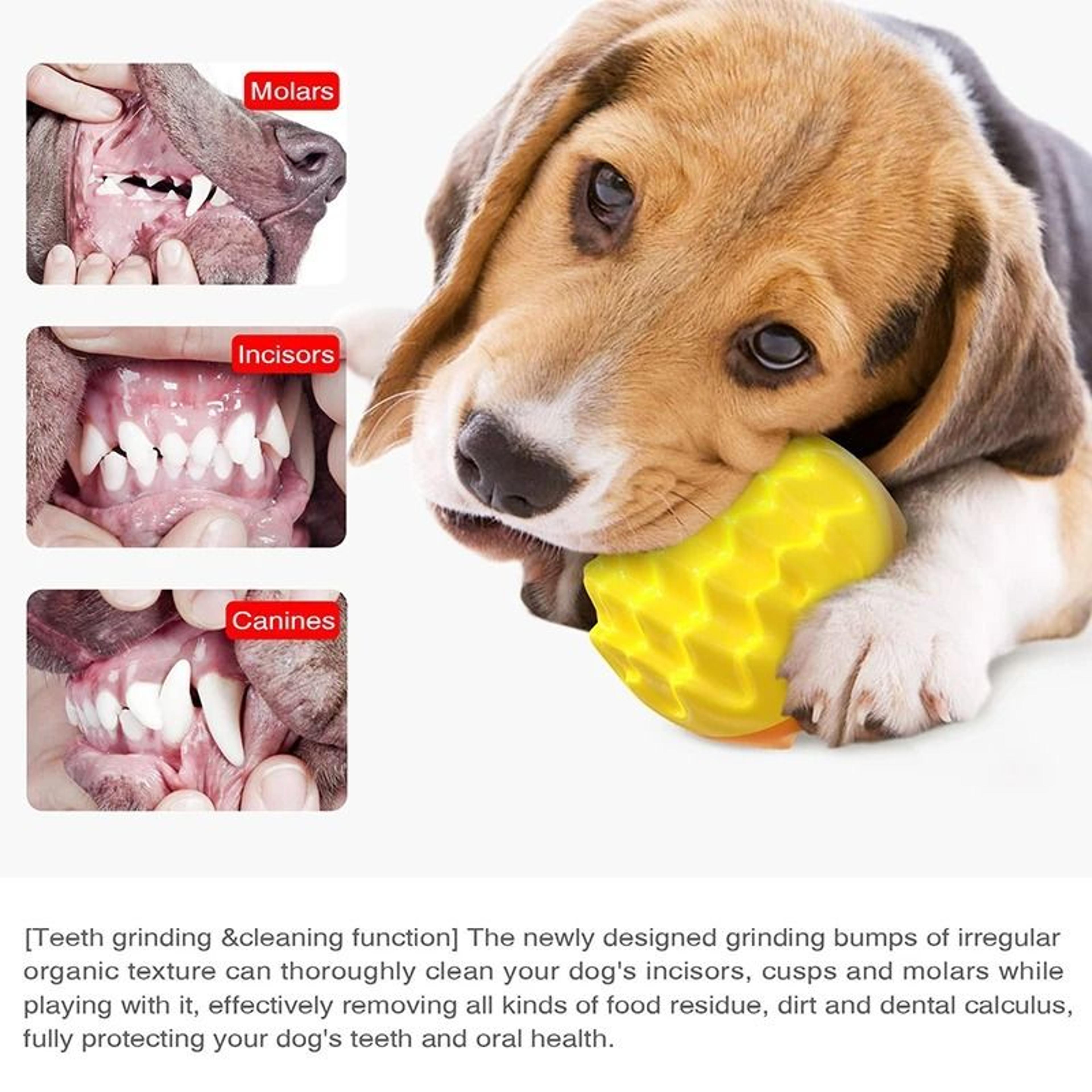 Pet Dog Ball Chew Toy For Small Medium And Large Dogs 2