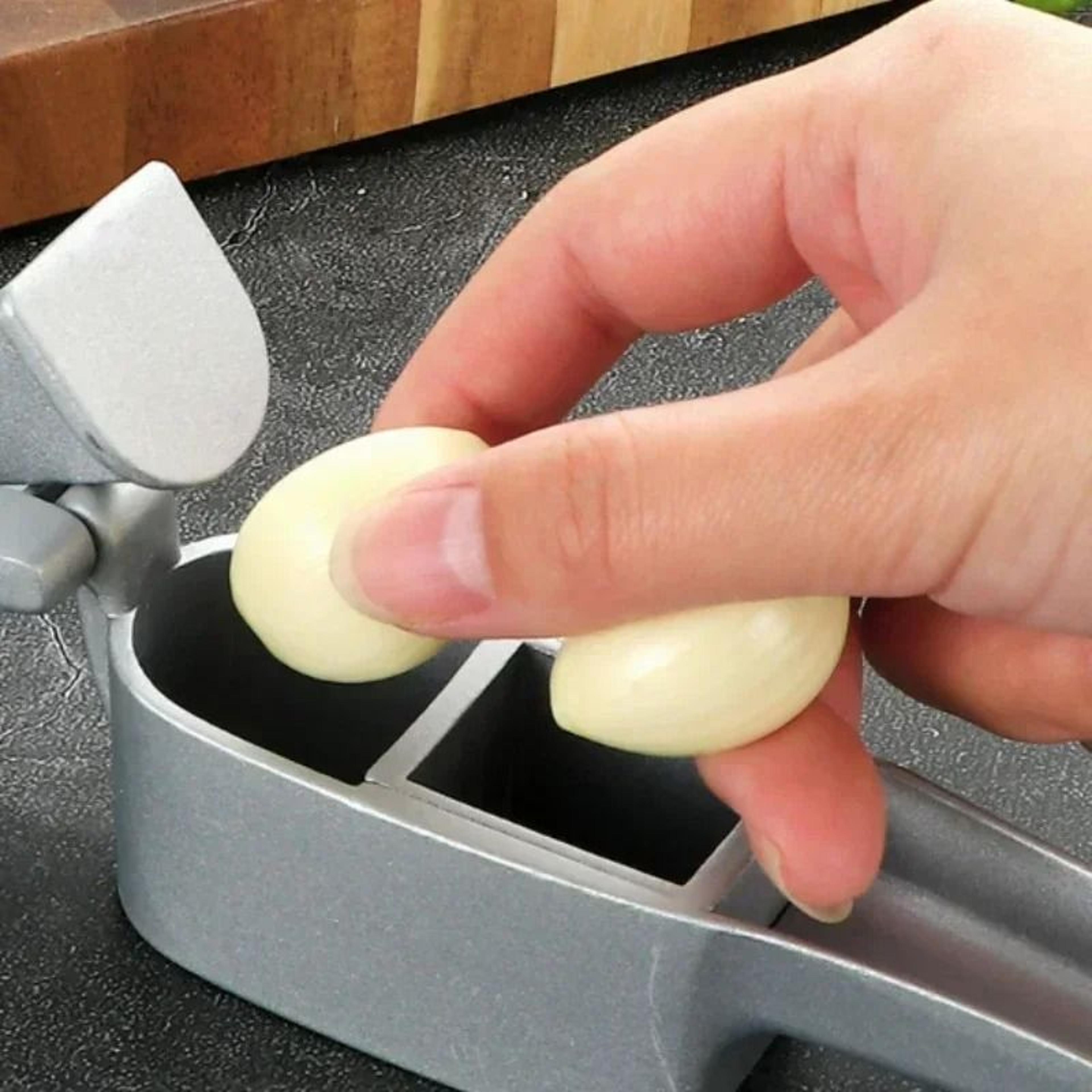 Zinc Alloy 2 In 1 Garlic Press Manual Kitchen Tool 1