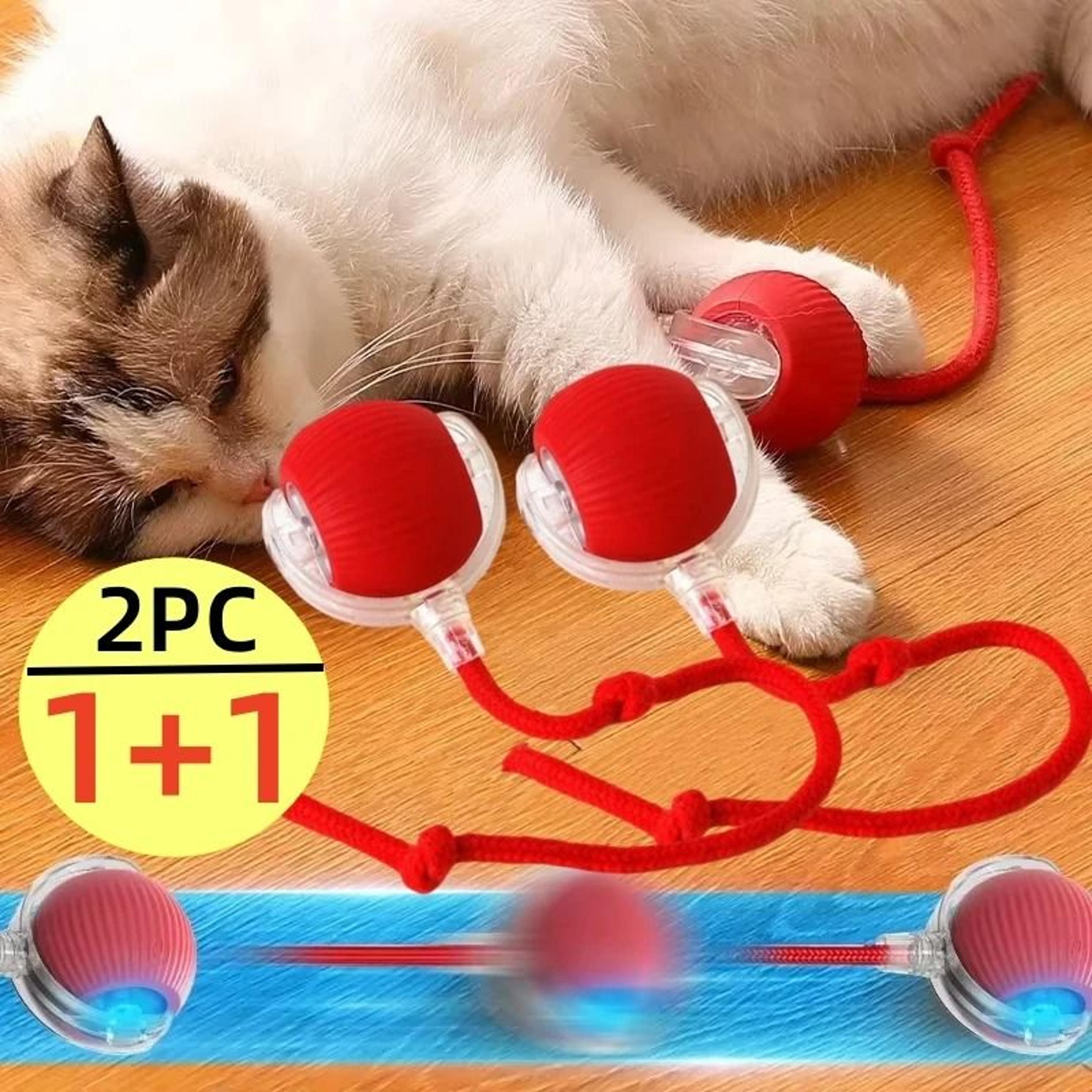 Automatic Rolling Ball Toy For Cats And Dogs USB Rechargeable 0