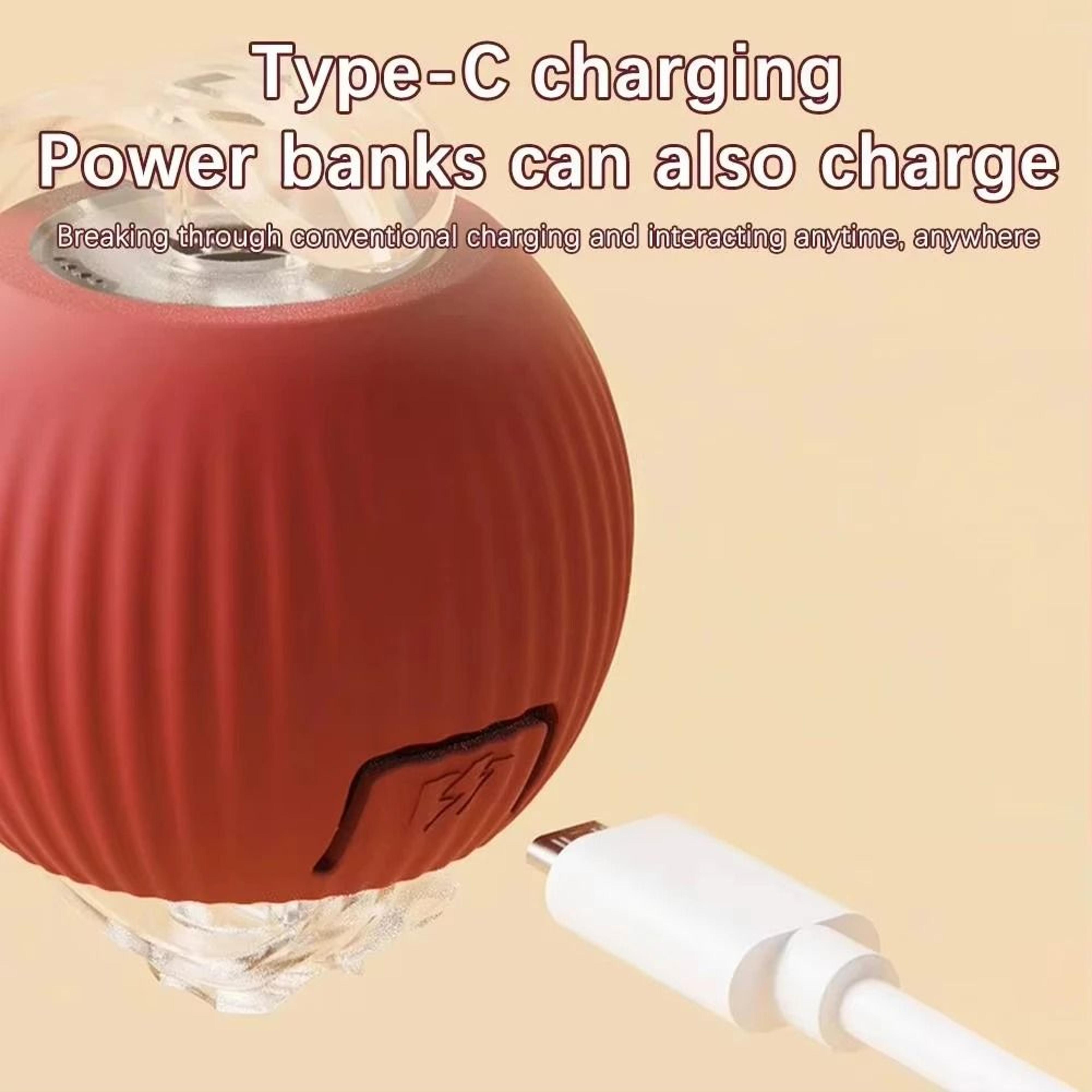 Automatic Rolling Ball Toy For Cats And Dogs USB Rechargeable 3
