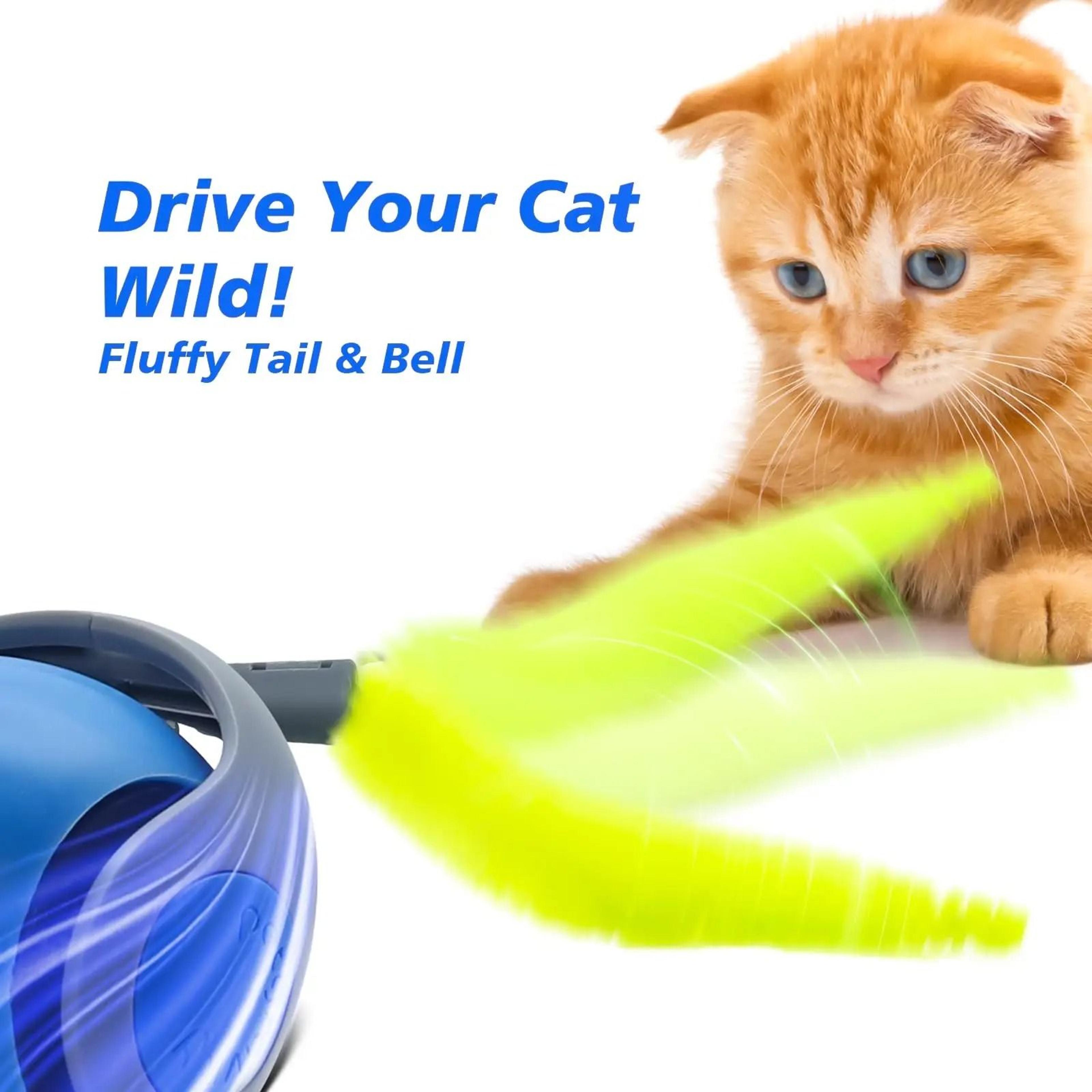 Interactive Rolling Ball Toy For Cats And Dogs USB Rechargeable Smart Pet Toy 3