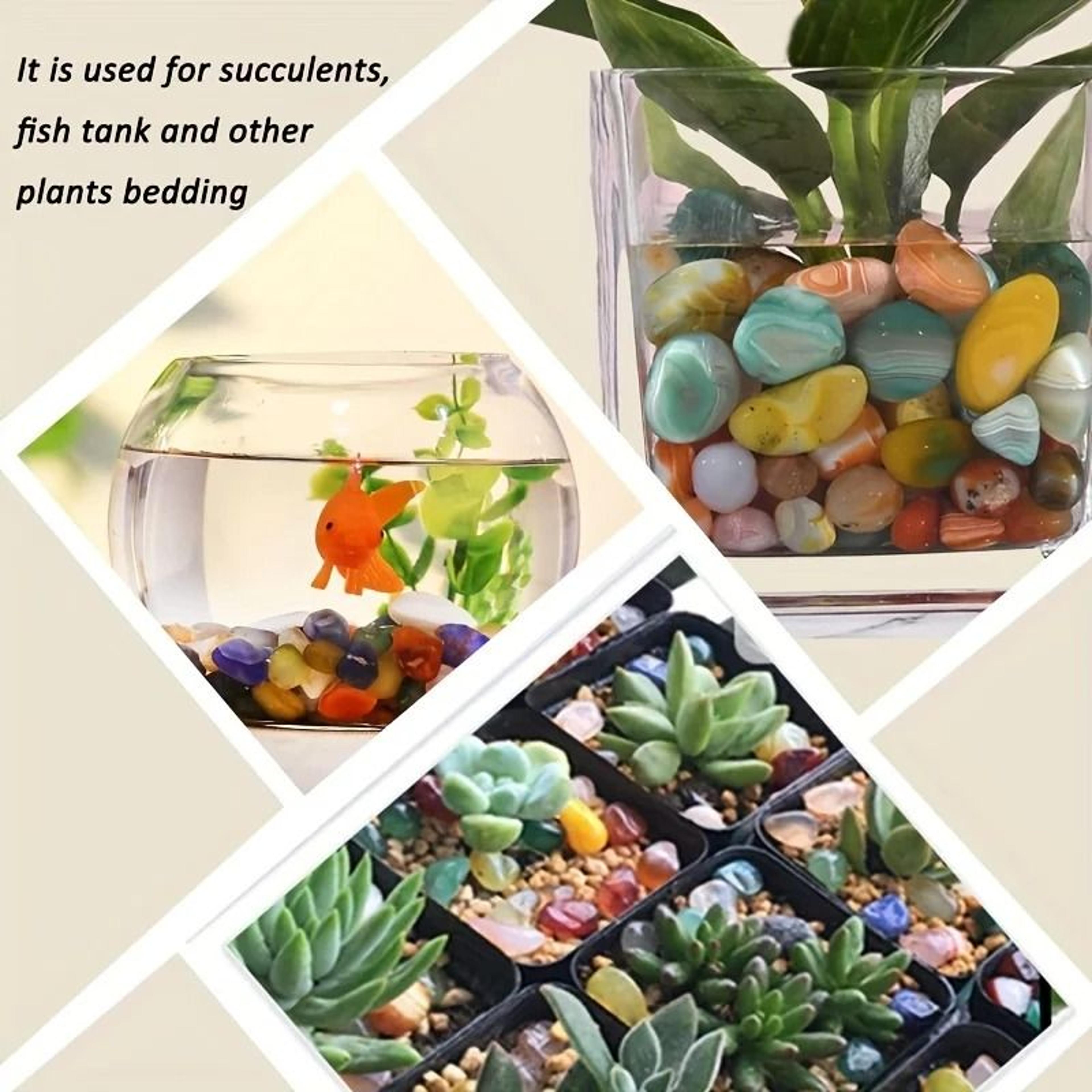 Natural Mixed Color Polished Stones And Crystals For Home And Garden Decoration 4