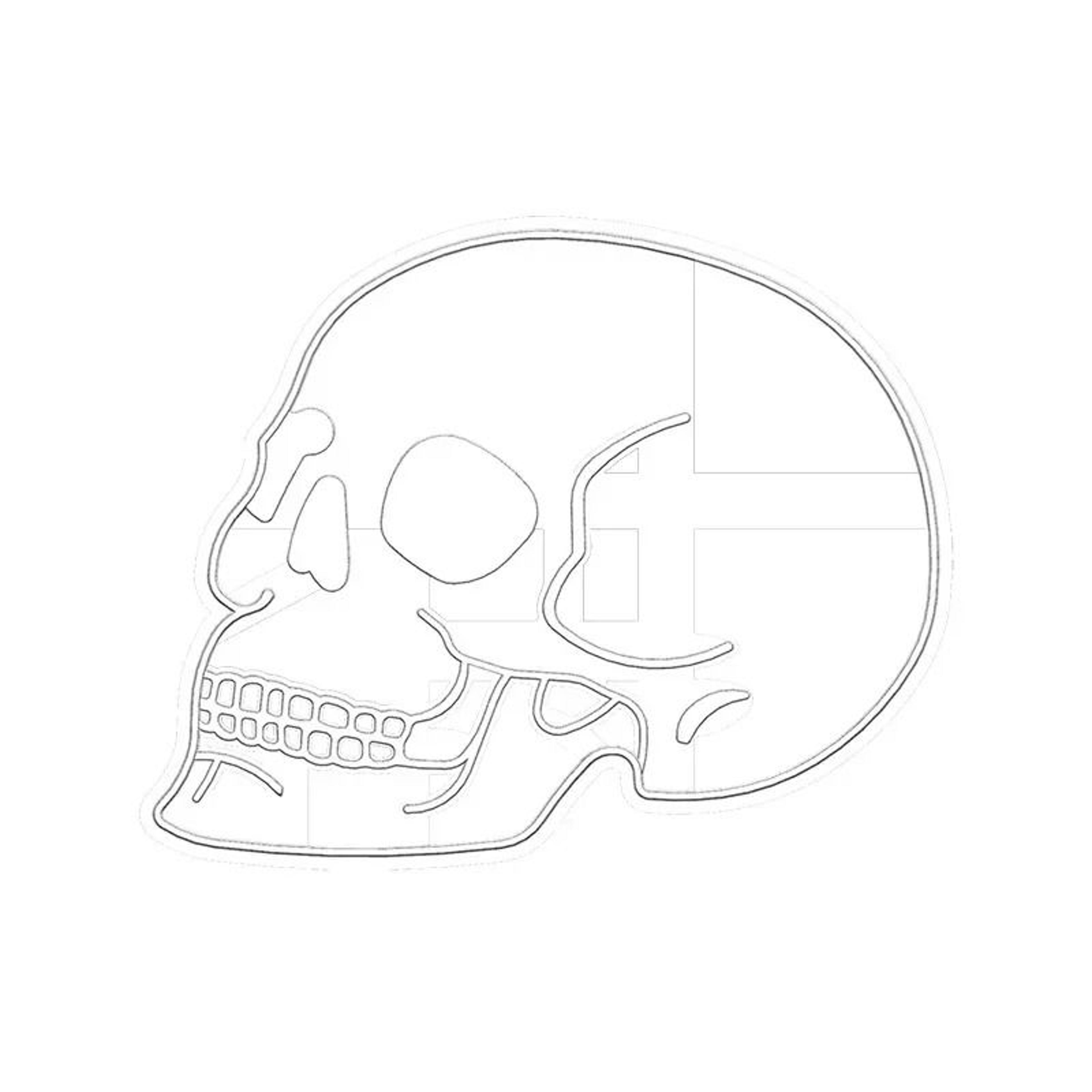 Halloween Skull Brain Organs Cookie Cutter Plastic 3D Biscuit Stamp And Chocolate Mold 3