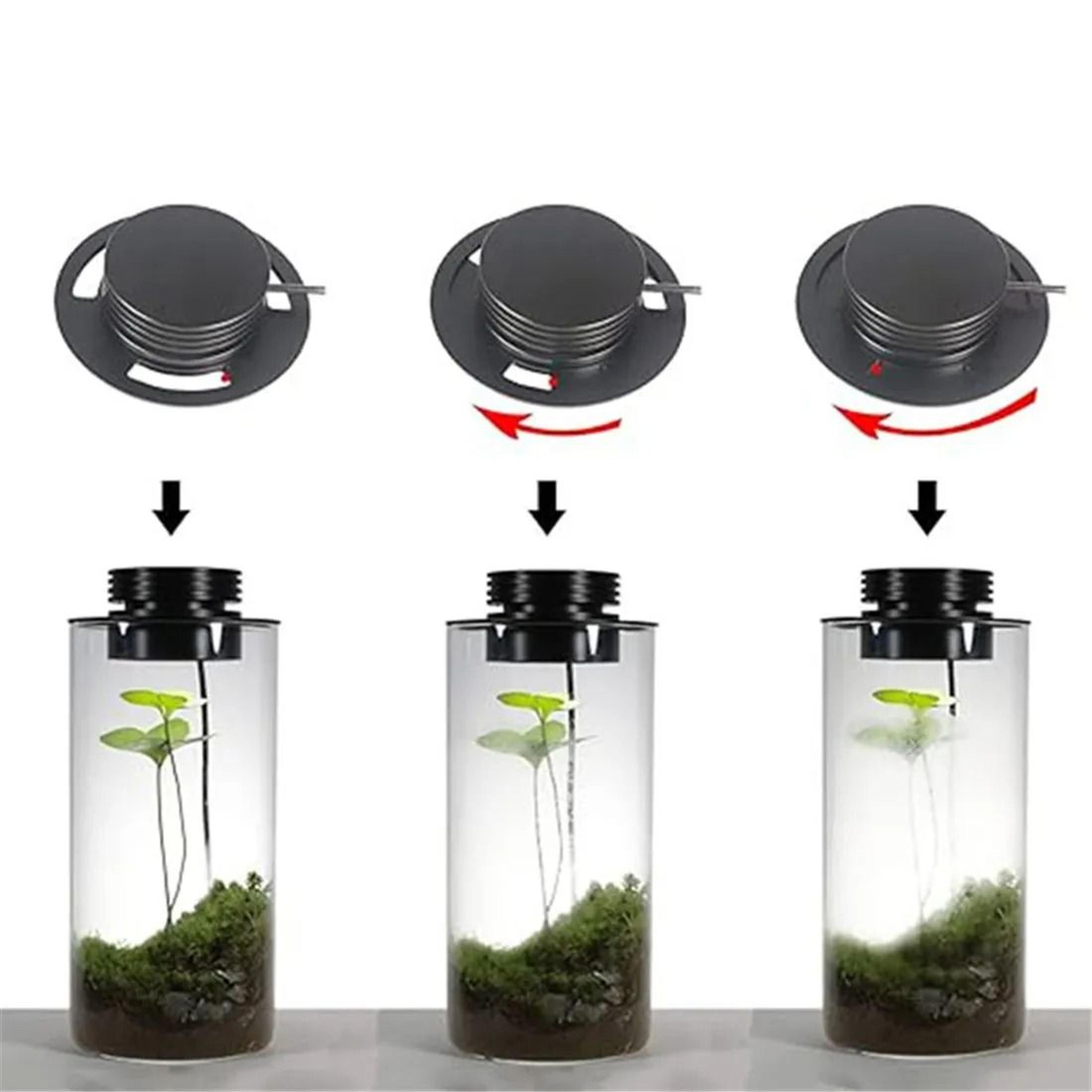 Dimmable USB Terrarium Plant Growing Lamp With Timer For Indoor Plants 4