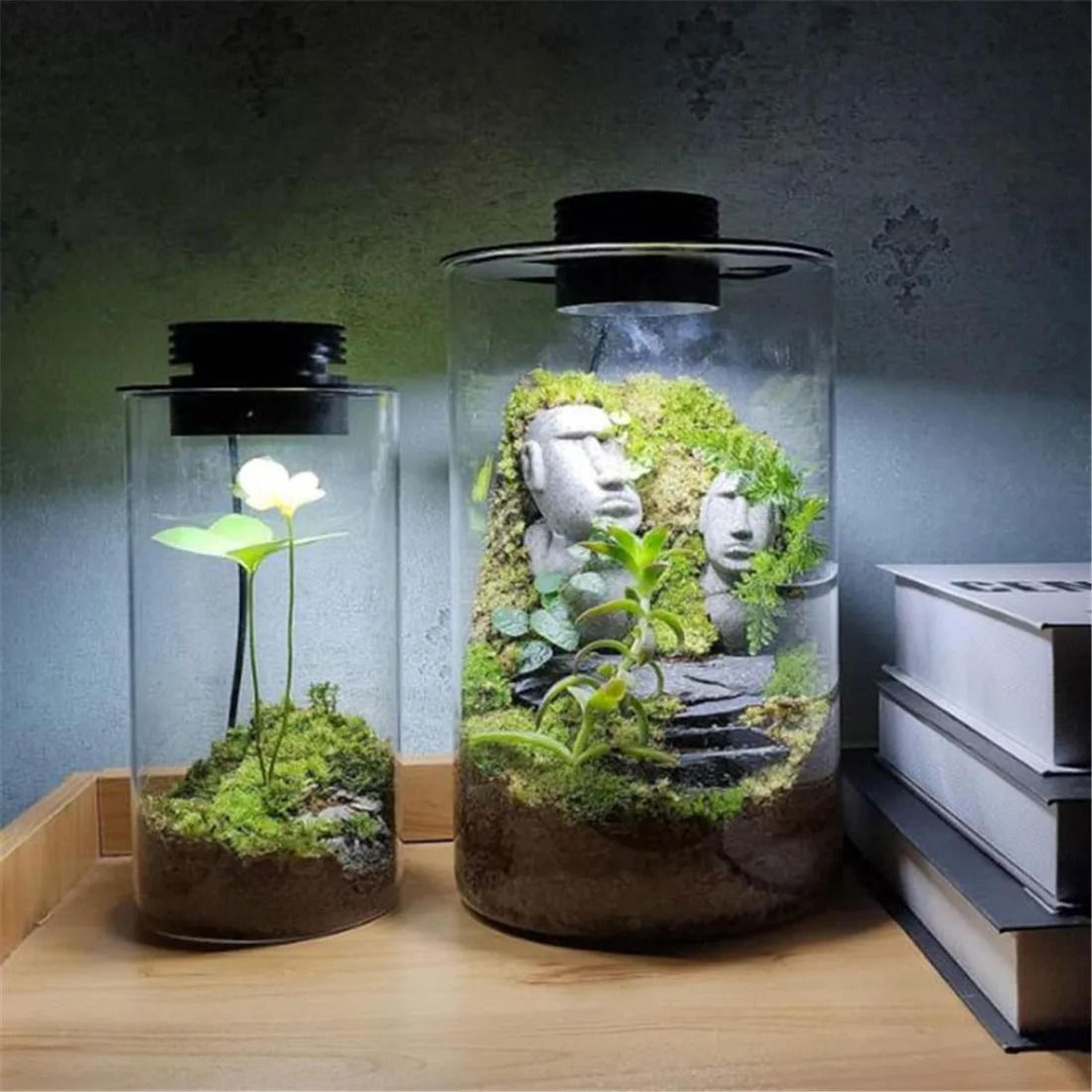 Dimmable USB Terrarium Plant Growing Lamp With Timer For Indoor Plants 5