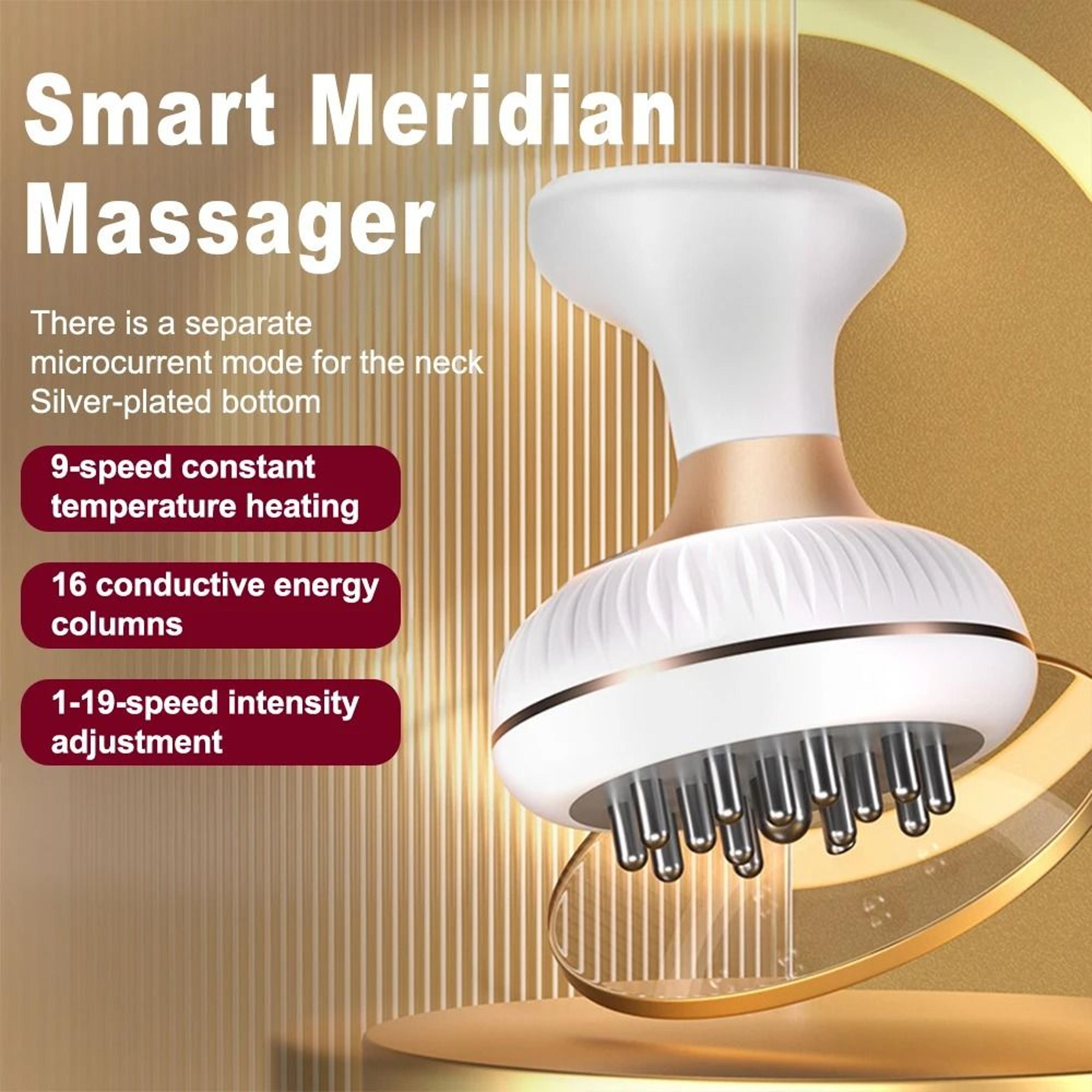 Electric Meridian Brush Body Massager EMS Microcurrent Hot Compress Scraping Lymphatic Drainage Mac 4