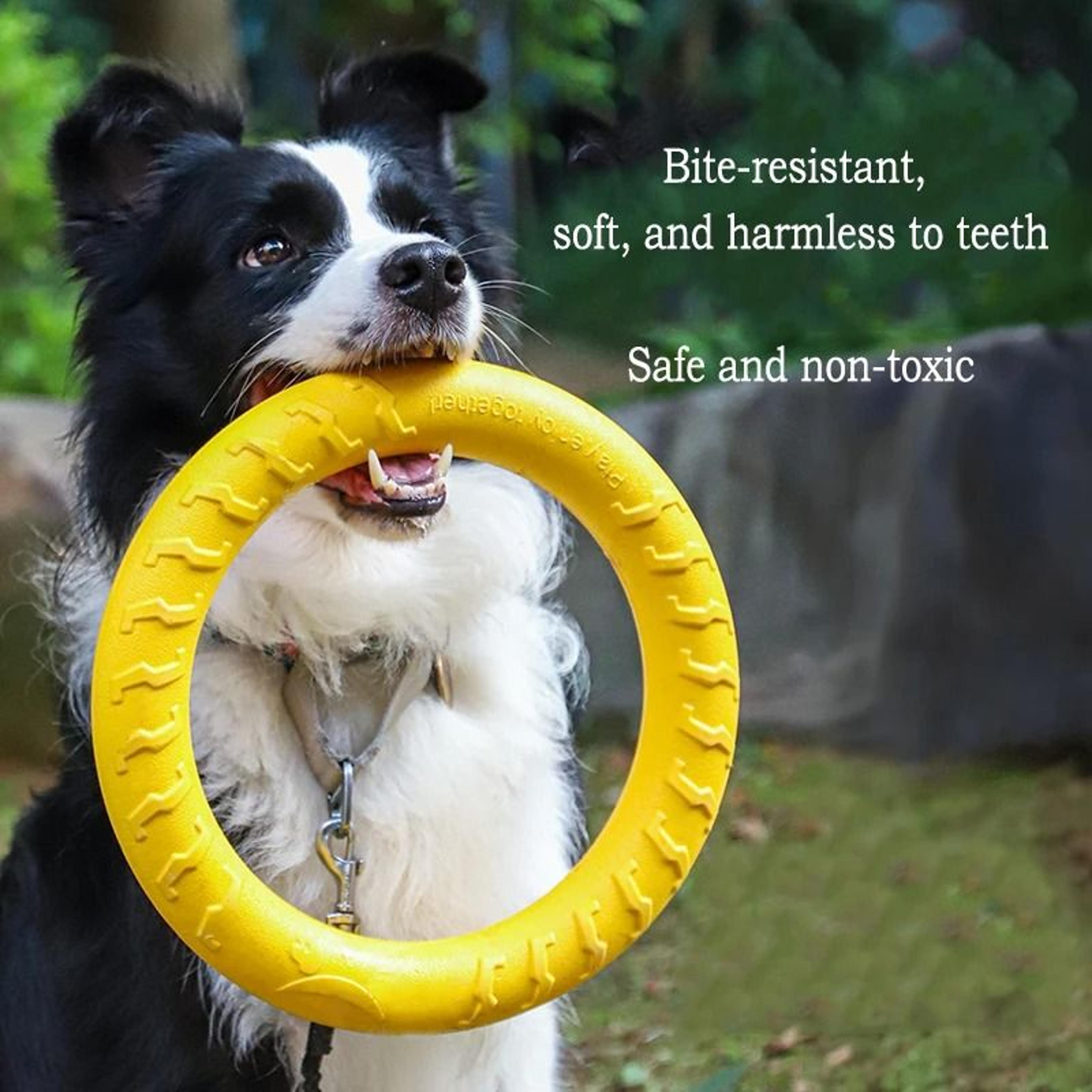 EVA Dog Toy Set 4Pack Flying Disc Ball Tug Rope Chew Proof Teeth Cleaning Set 1