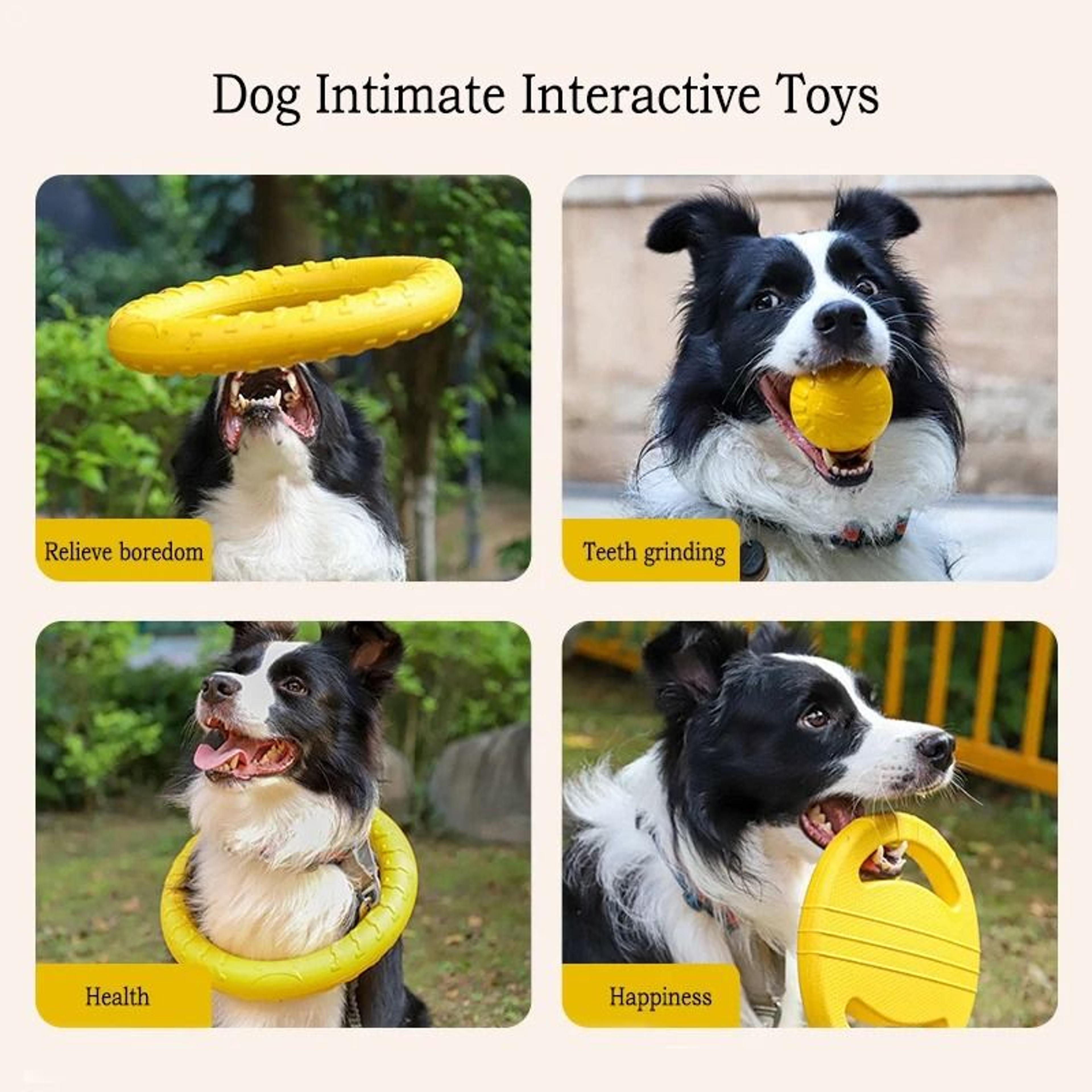 EVA Dog Toy Set 4Pack Flying Disc Ball Tug Rope Chew Proof Teeth Cleaning Set 3