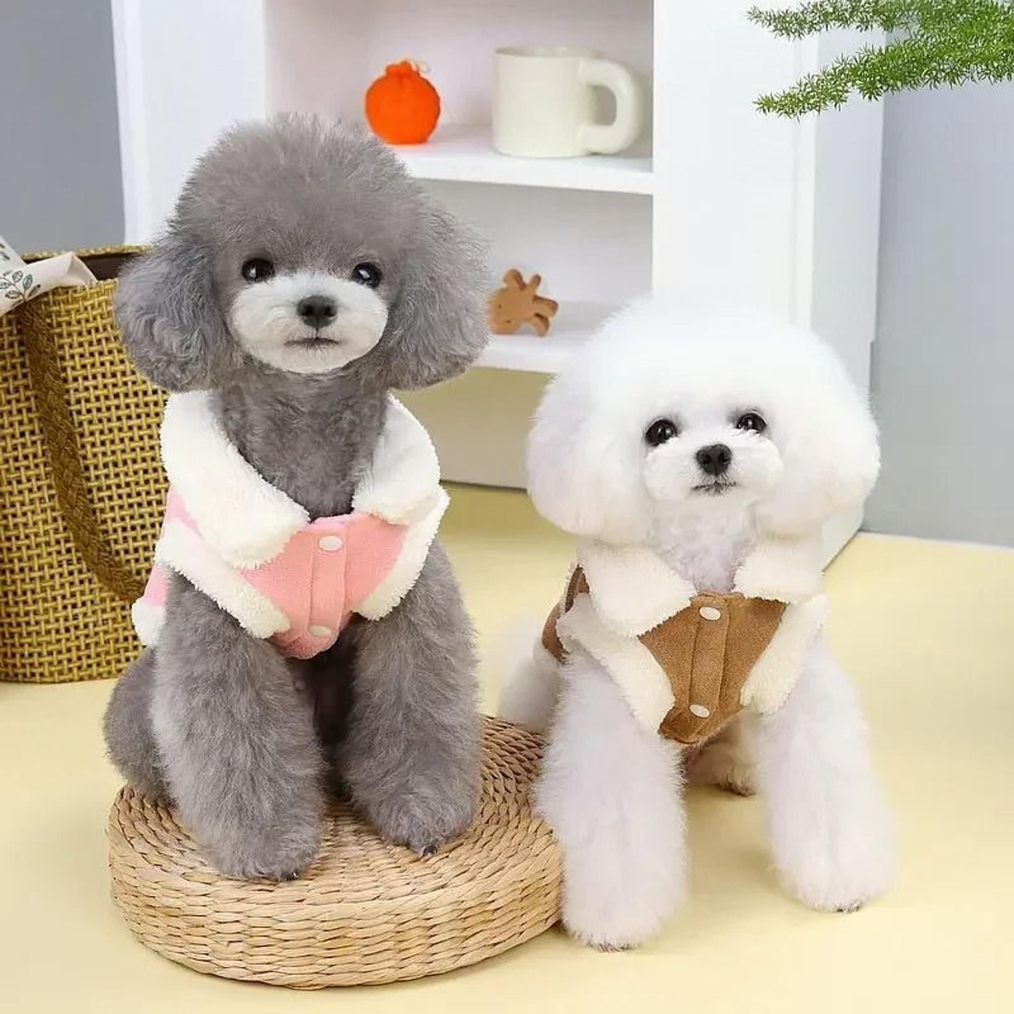 Winter Dog Cotton Jacket Warm Pet Clothes For Small And Medium Dogs 1