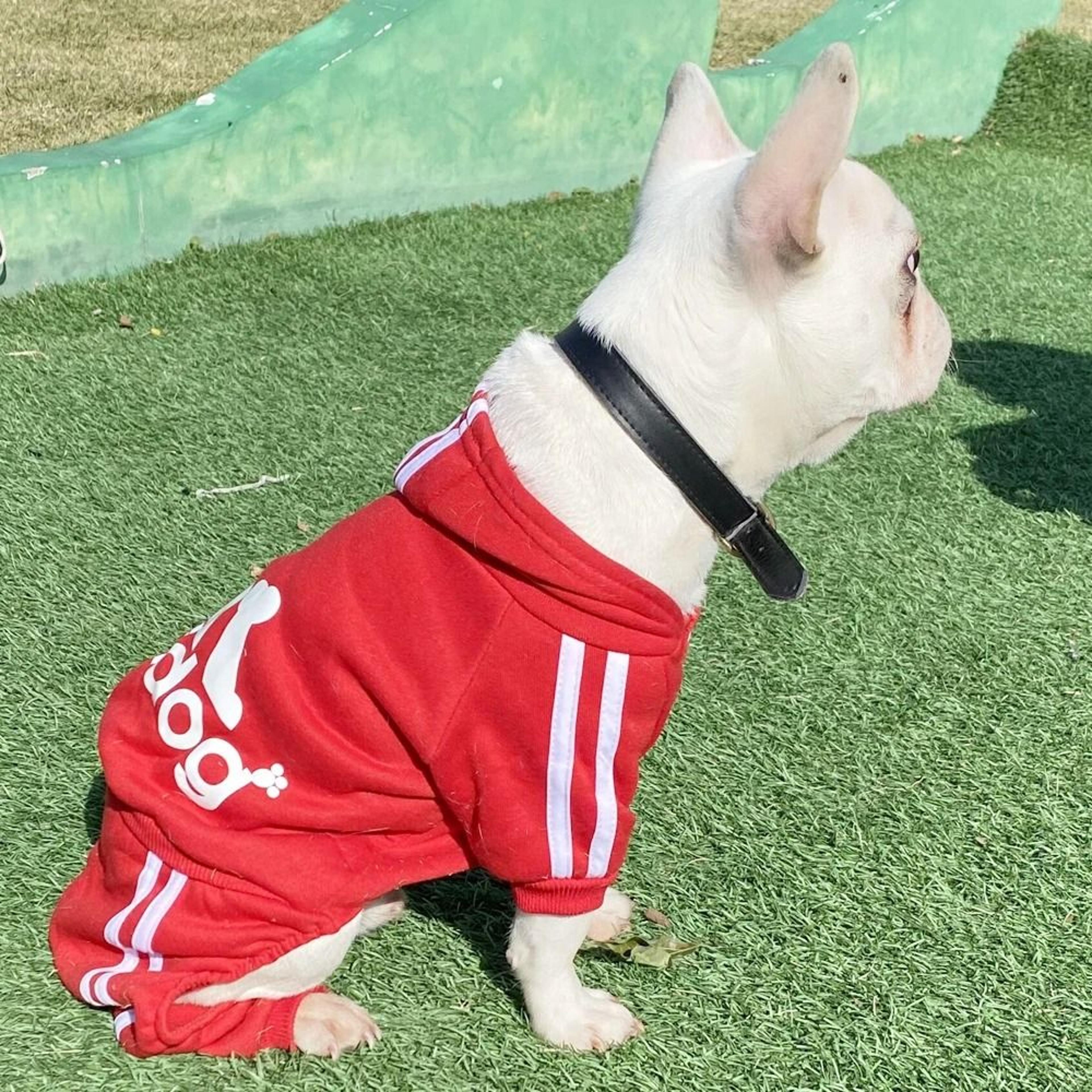 Adidog Dog Jumpsuit Sports Suit For Small Dogs 2