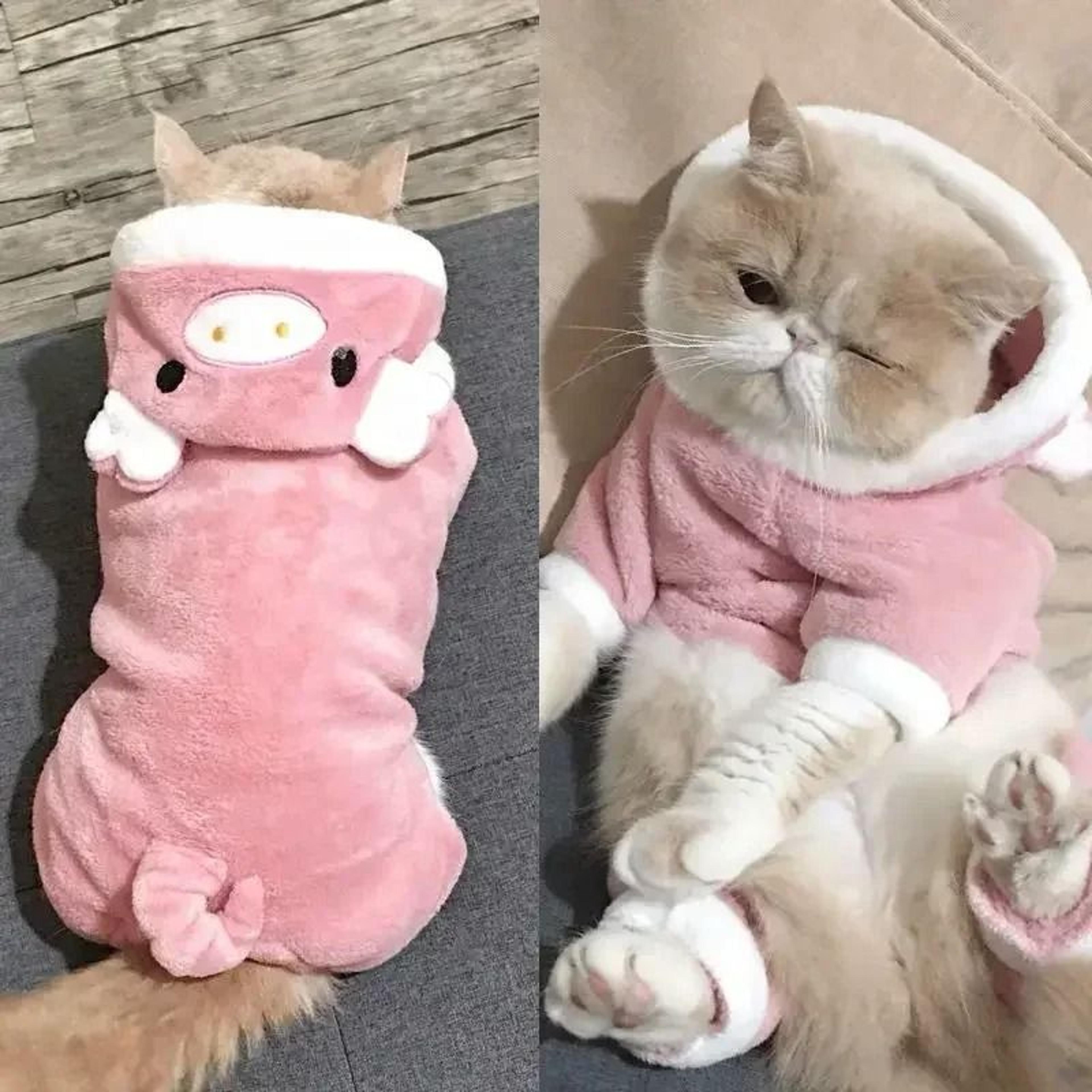 Cartoon Animal Pet Jumpsuit Pajama For Small Dogs And Cats 0