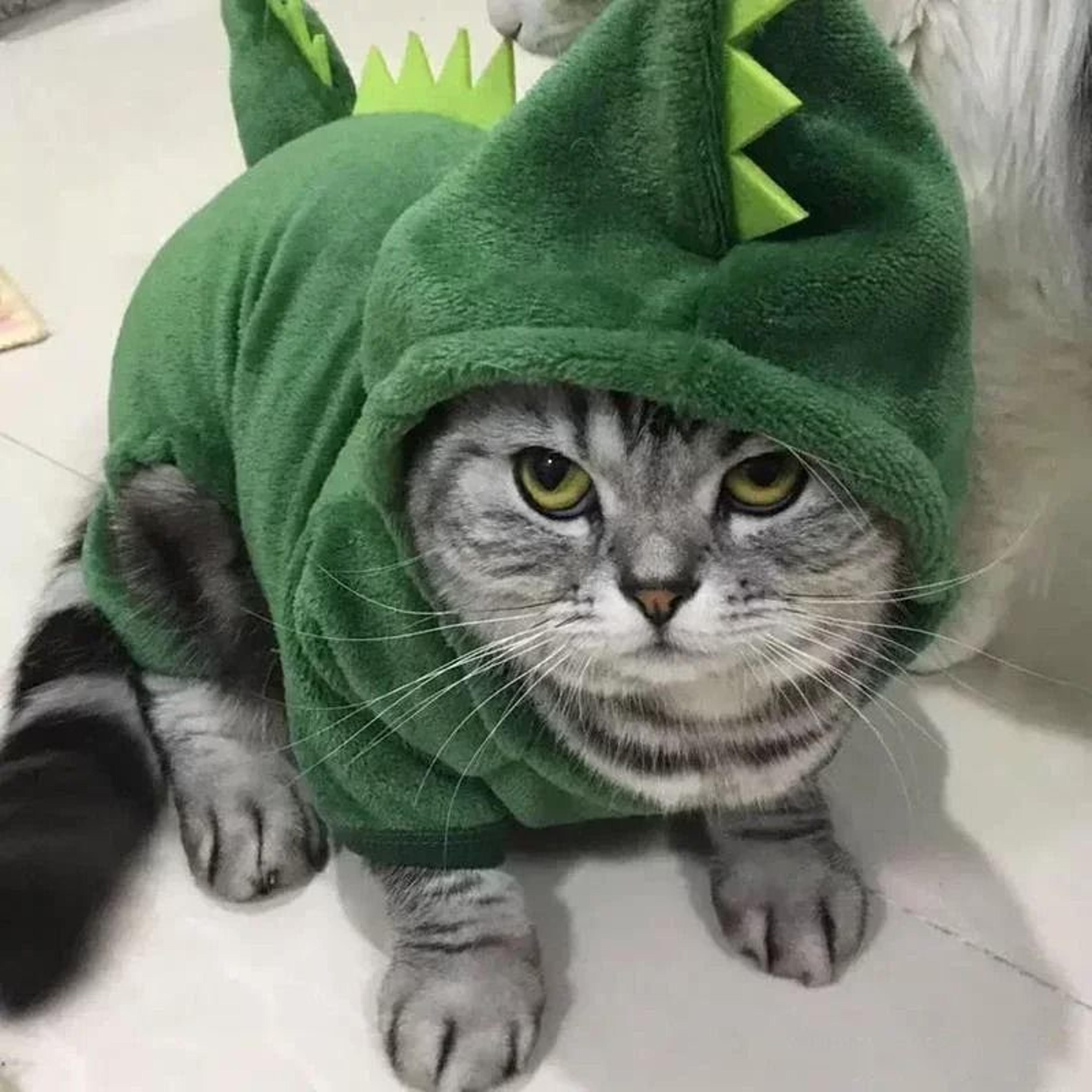 Cartoon Animal Pet Jumpsuit Pajama For Small Dogs And Cats 4