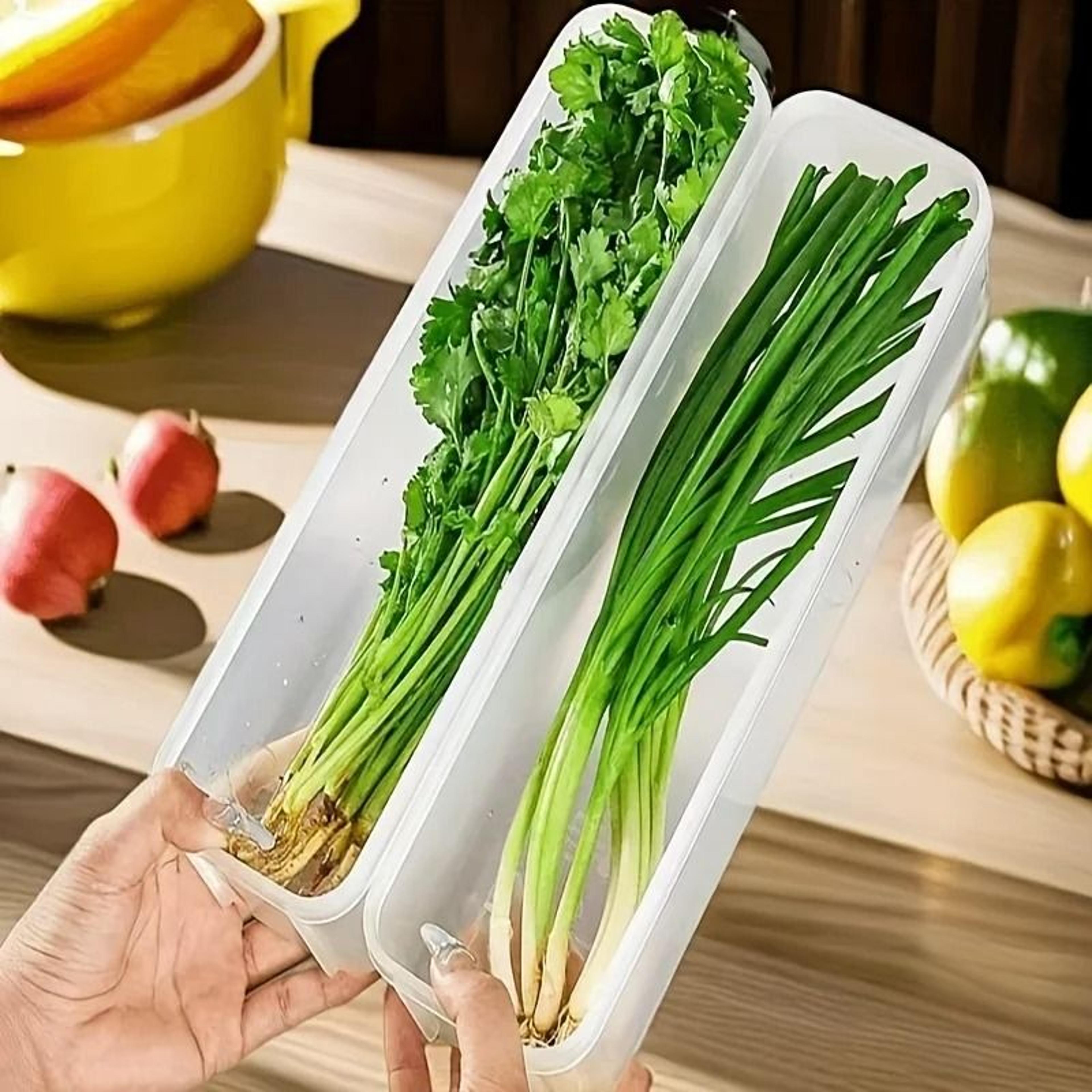 Refrigerator Fresh Keeping Storage Box Transparent Sealed Food Preservation Container 1