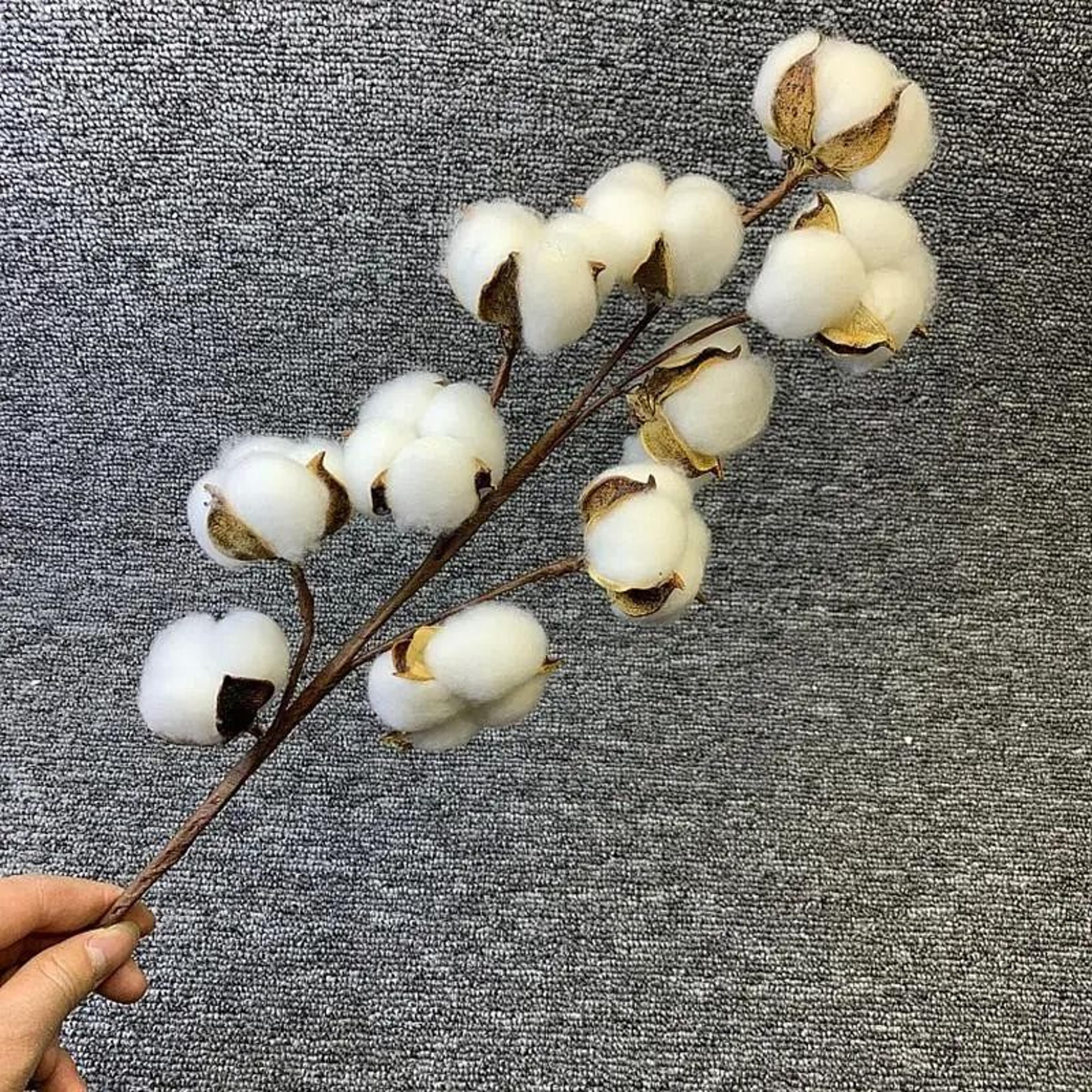 Artificial Cotton Flower Branch With Eucalyptus Leaves Home Wedding Decor 6