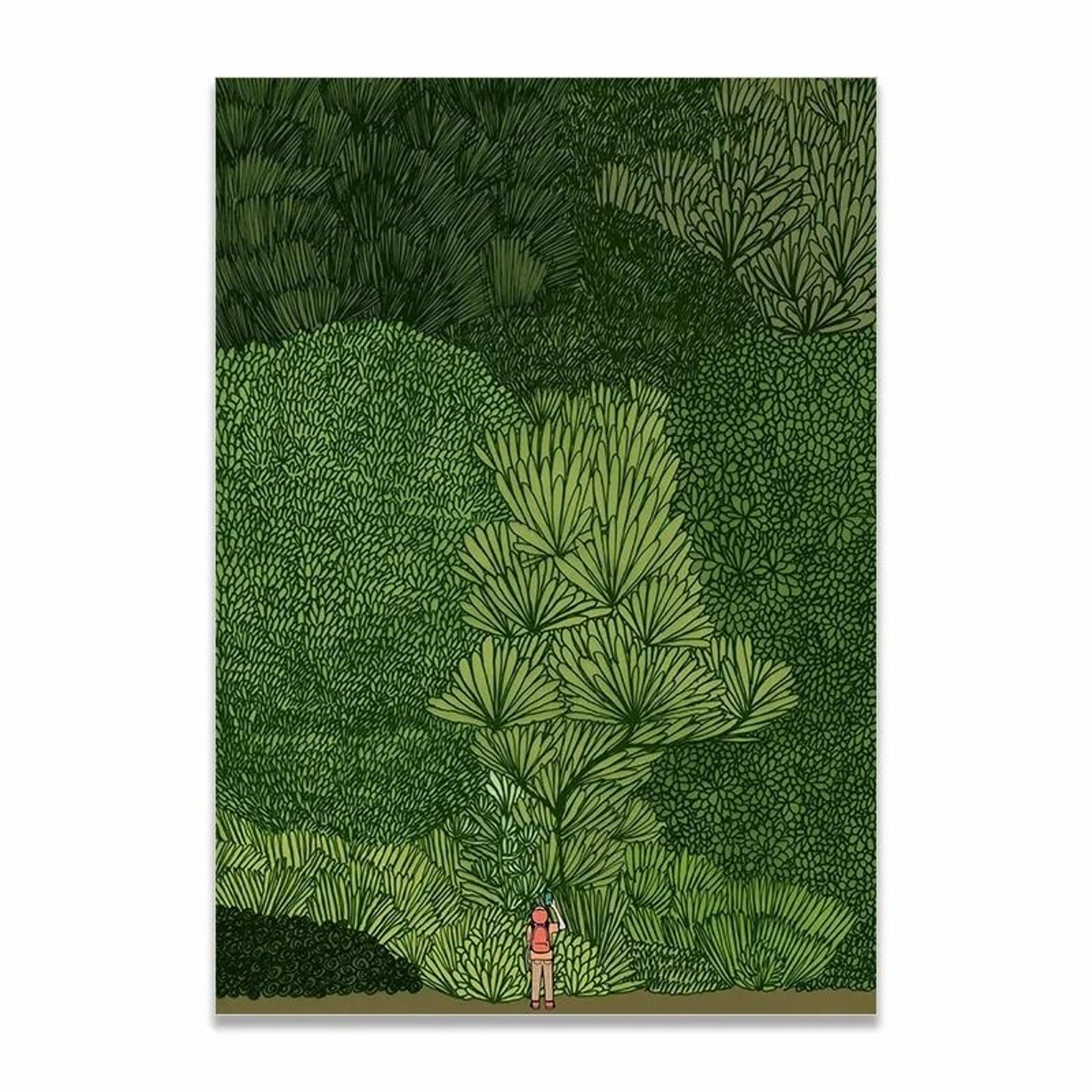 Scandinavian Green Forest Jungle Exploration Canvas Wall Art Decoration 6