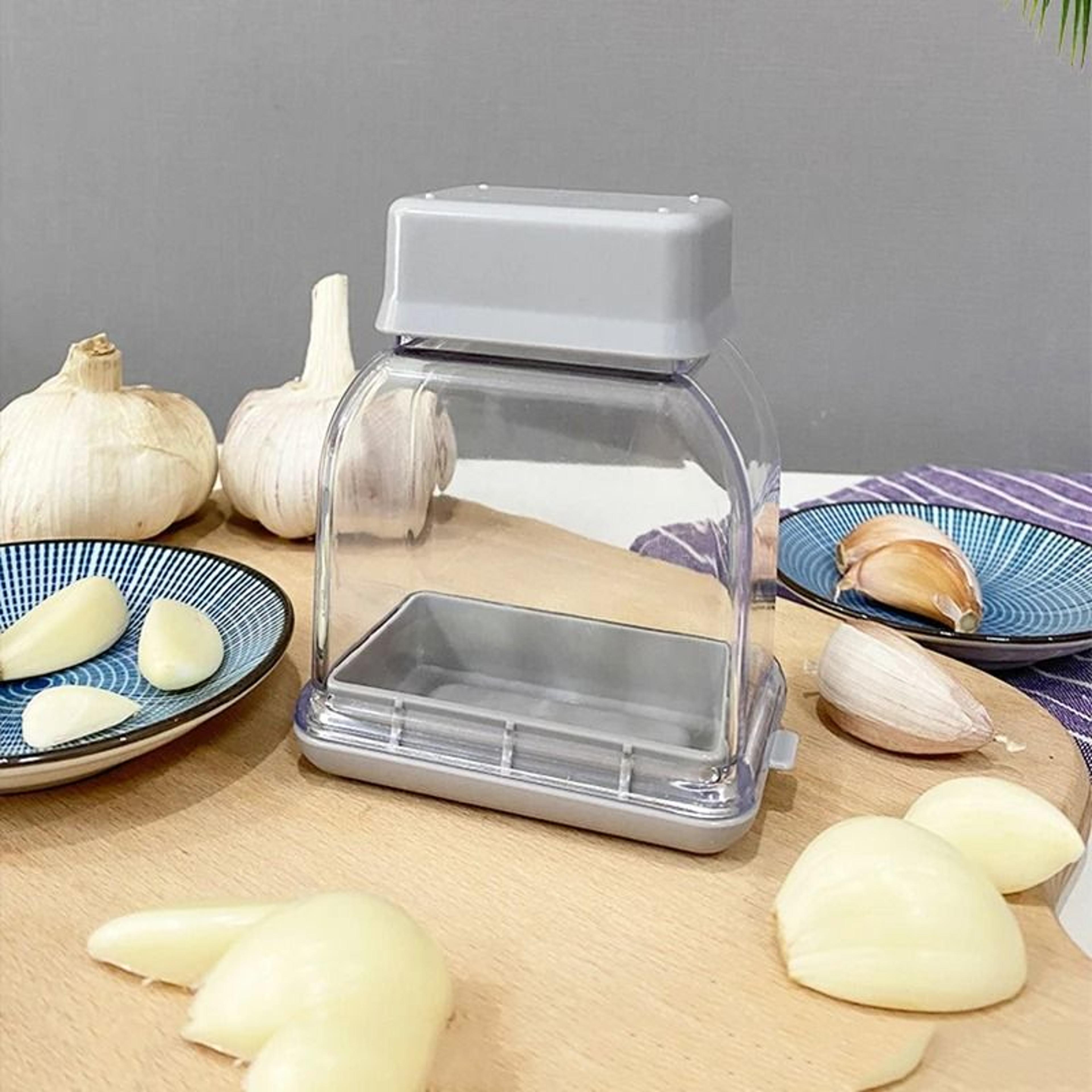 Manual Garlic Press And Grinder For Kitchen Use 1