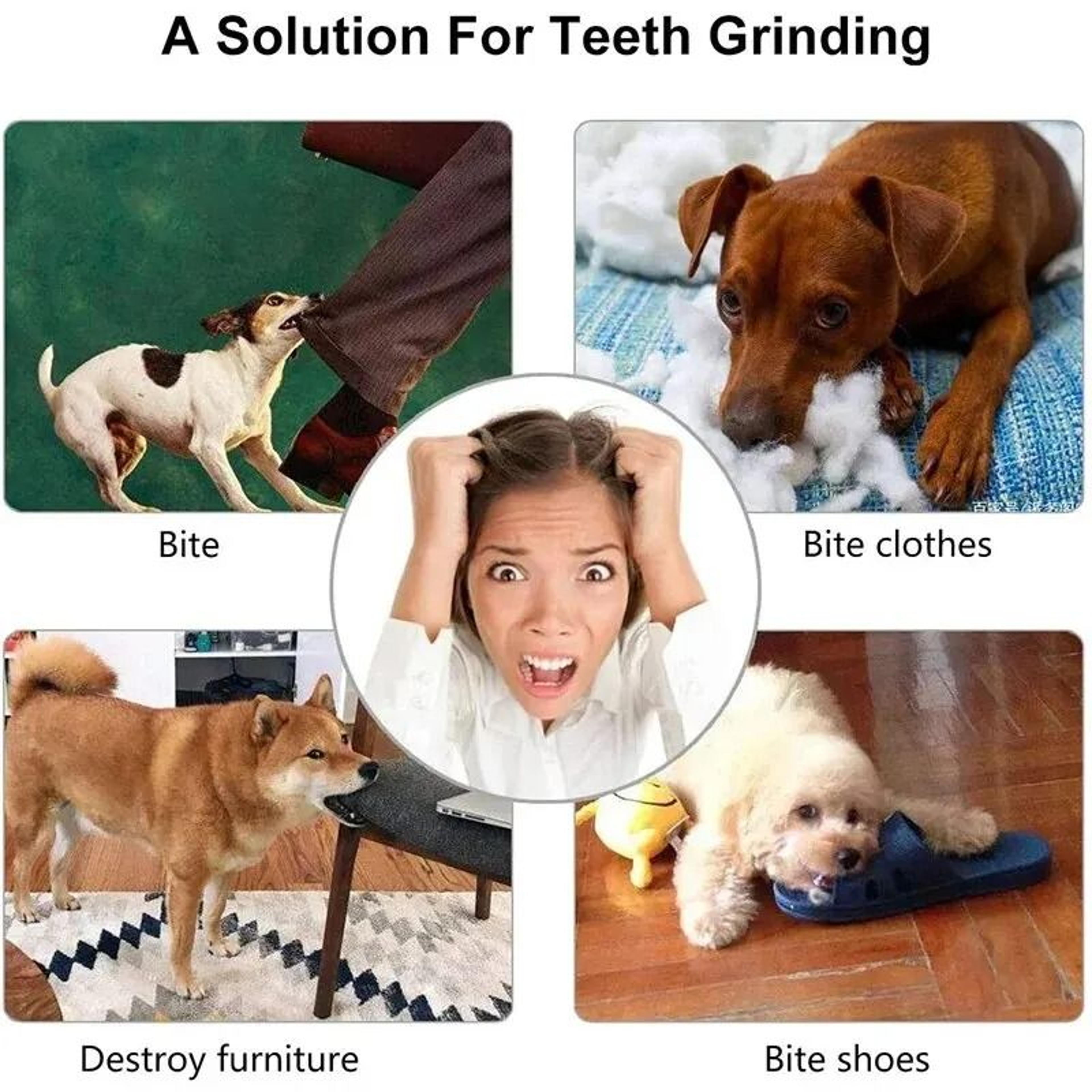 Dog Toy Ball Food Treat Feeder And Chew Cleaning Ball For Small And Medium Dogs 3