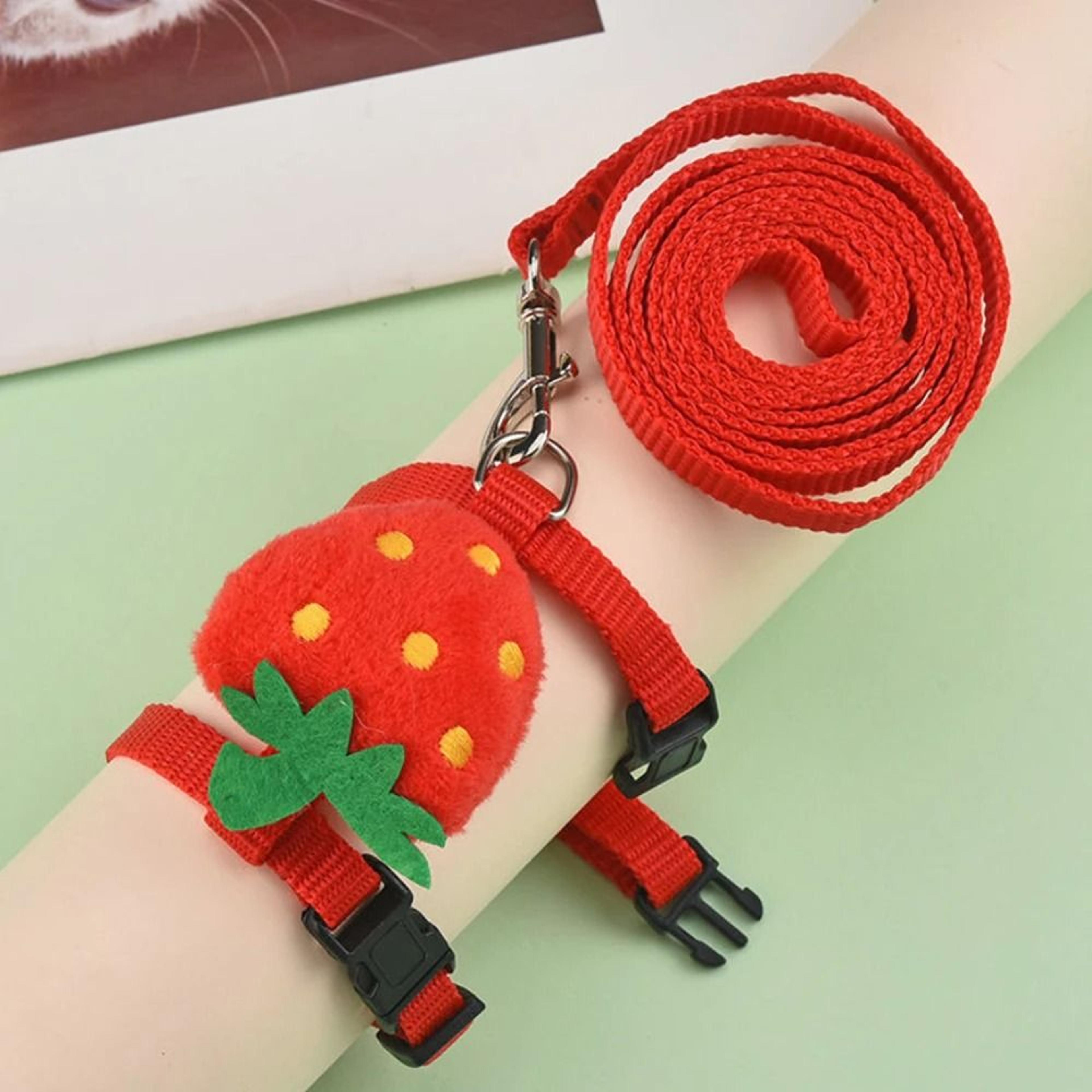 Rabbit Cat Harness And Leash Set Adjustable Pet Lead For Small Animals 5