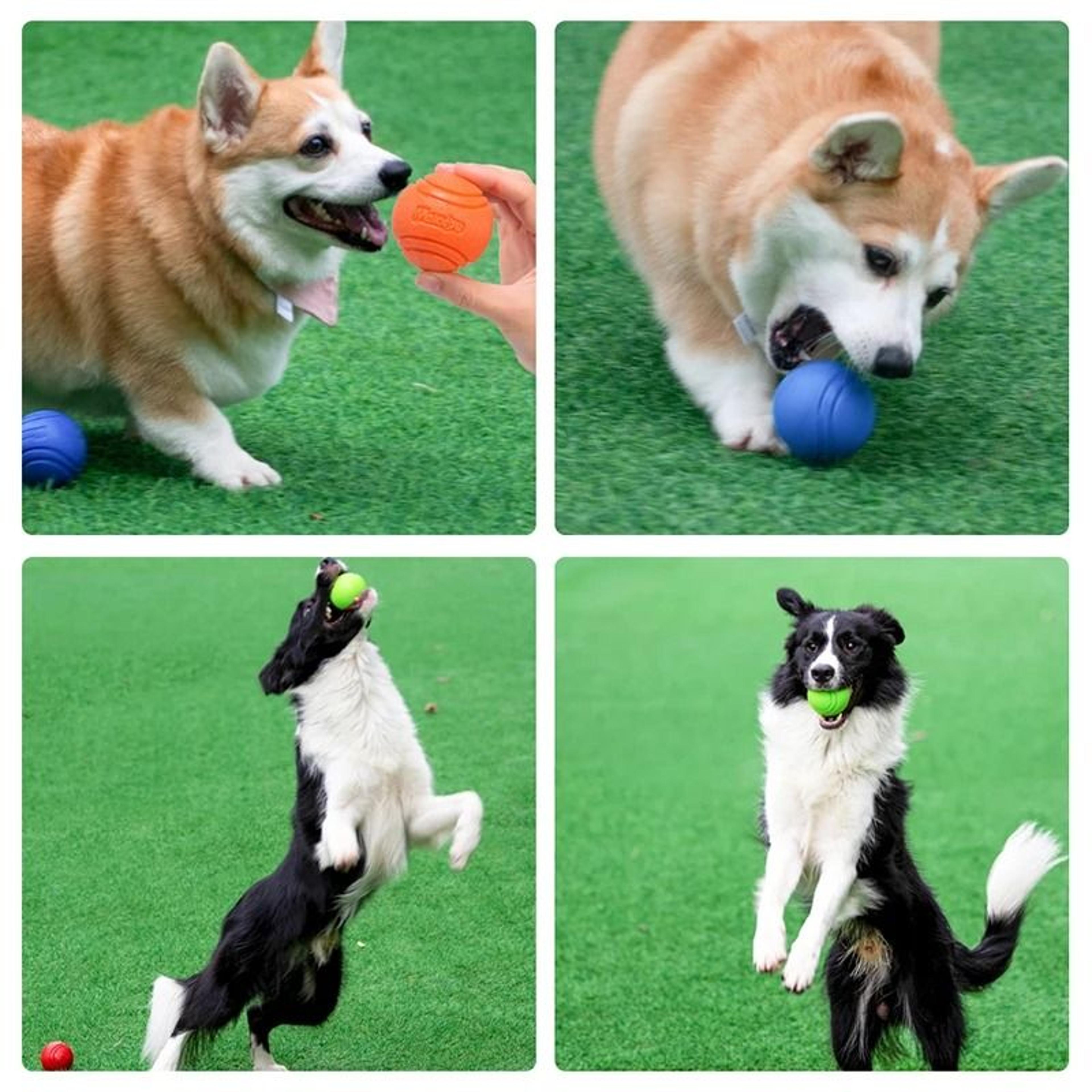 Dog Rubber Ball Toy Bite Resistant Ball For Active Dogs 4