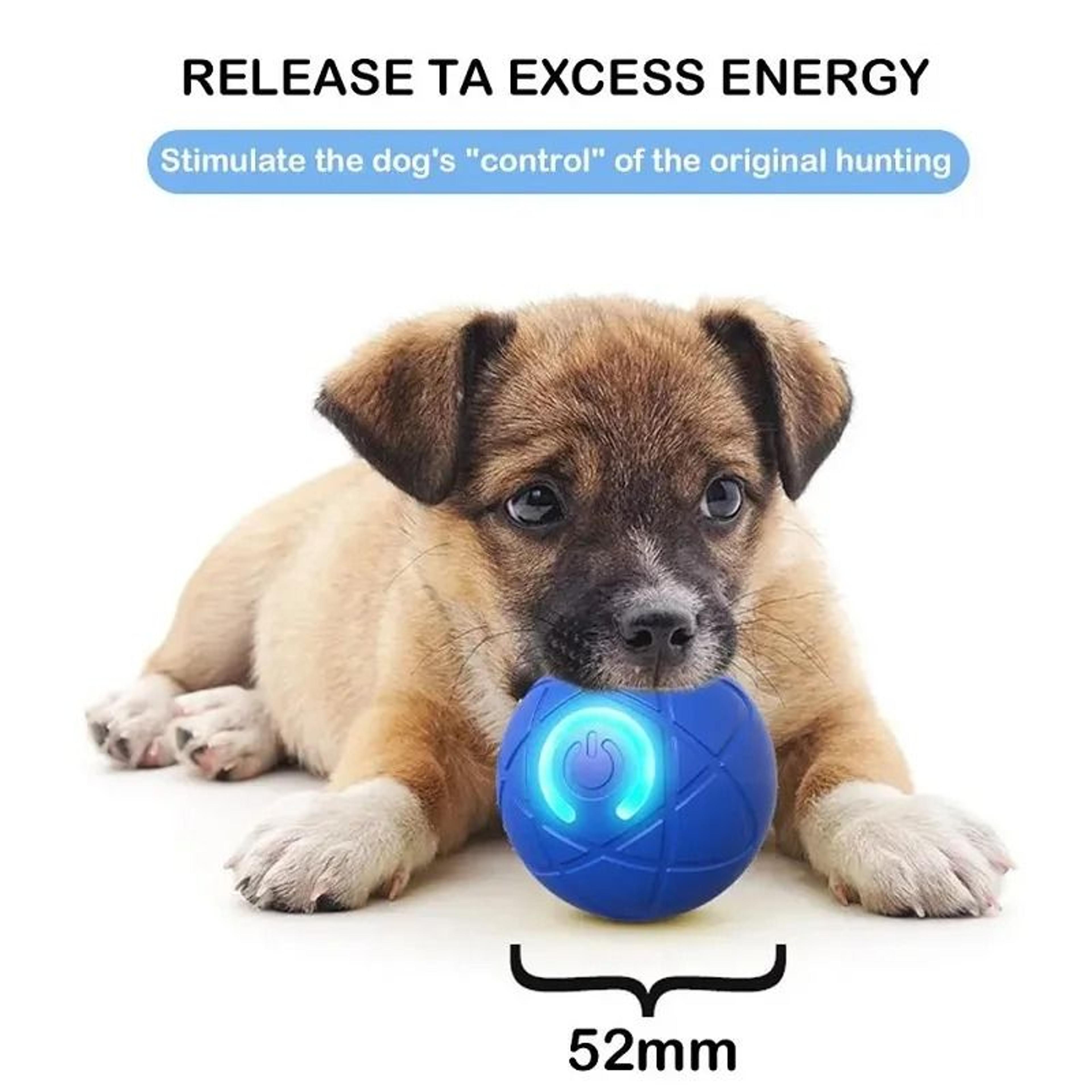 Interactive Automatic Rolling Dog Toy Ball Rechargeable Pet Play Ball 1