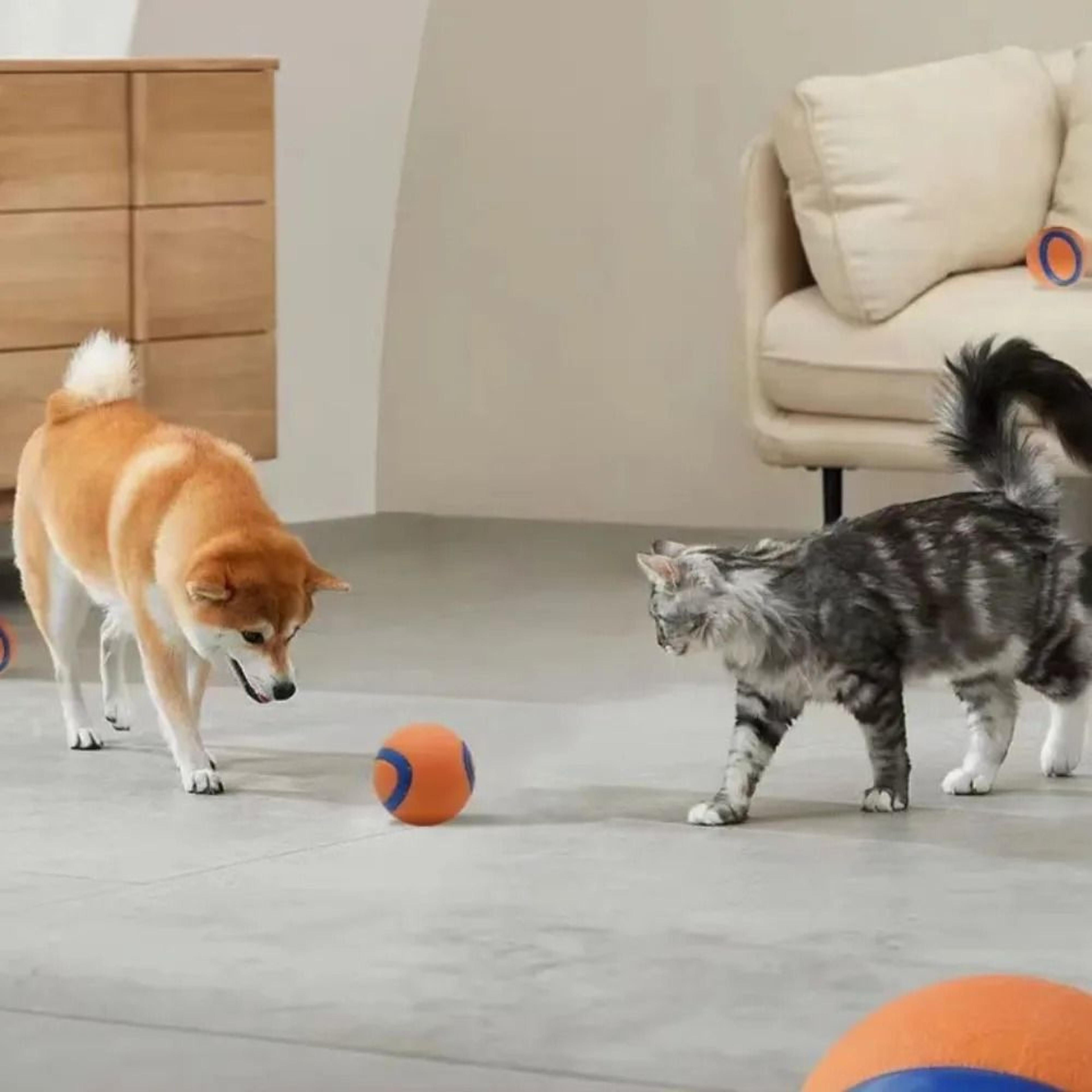 Dog Fetch Ball Tough Chew Toy Solid Elastic Jumping Ball For Dogs 4