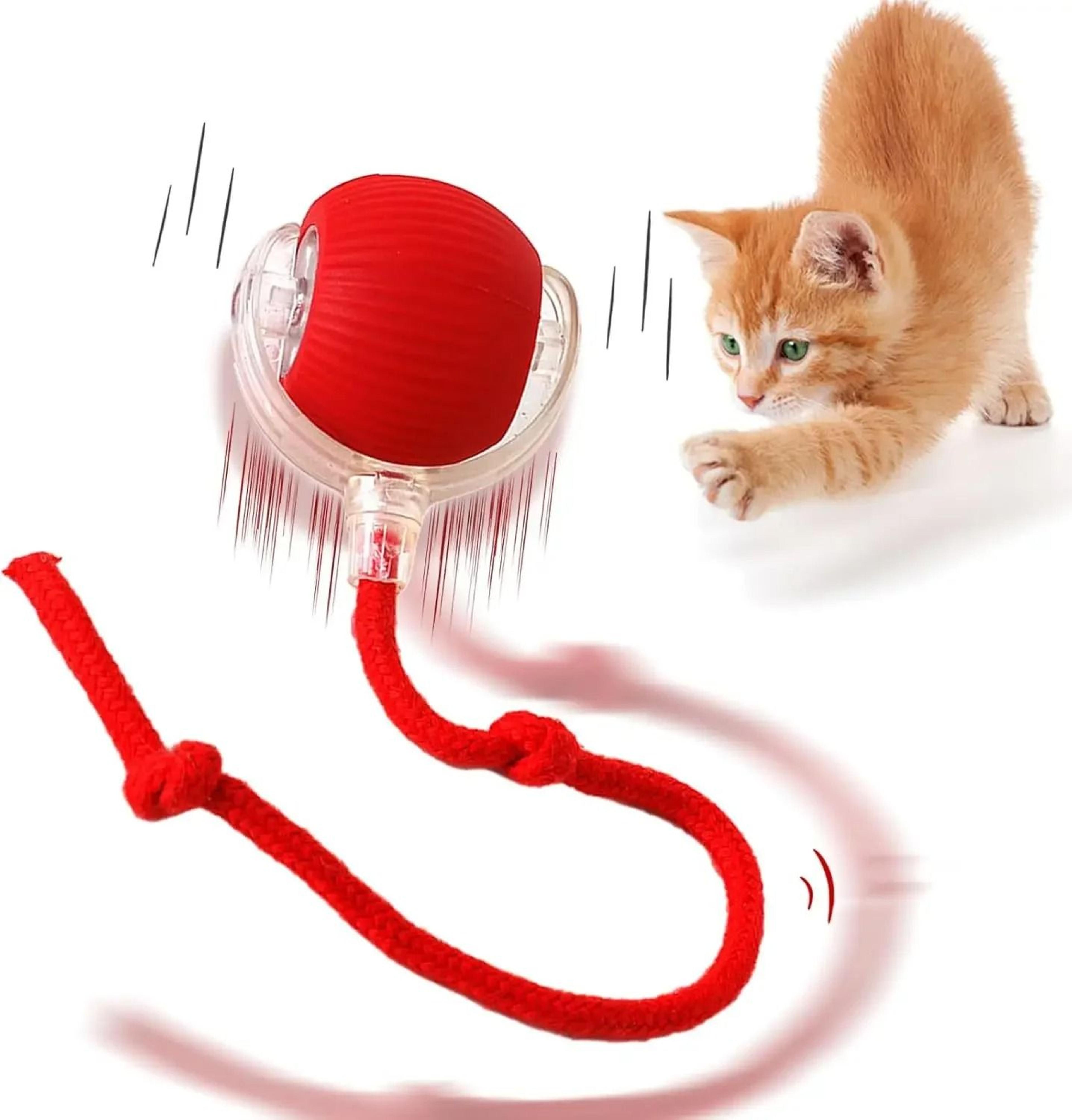 automatic rolling interactive pet ball rechargeable cat and dog toy