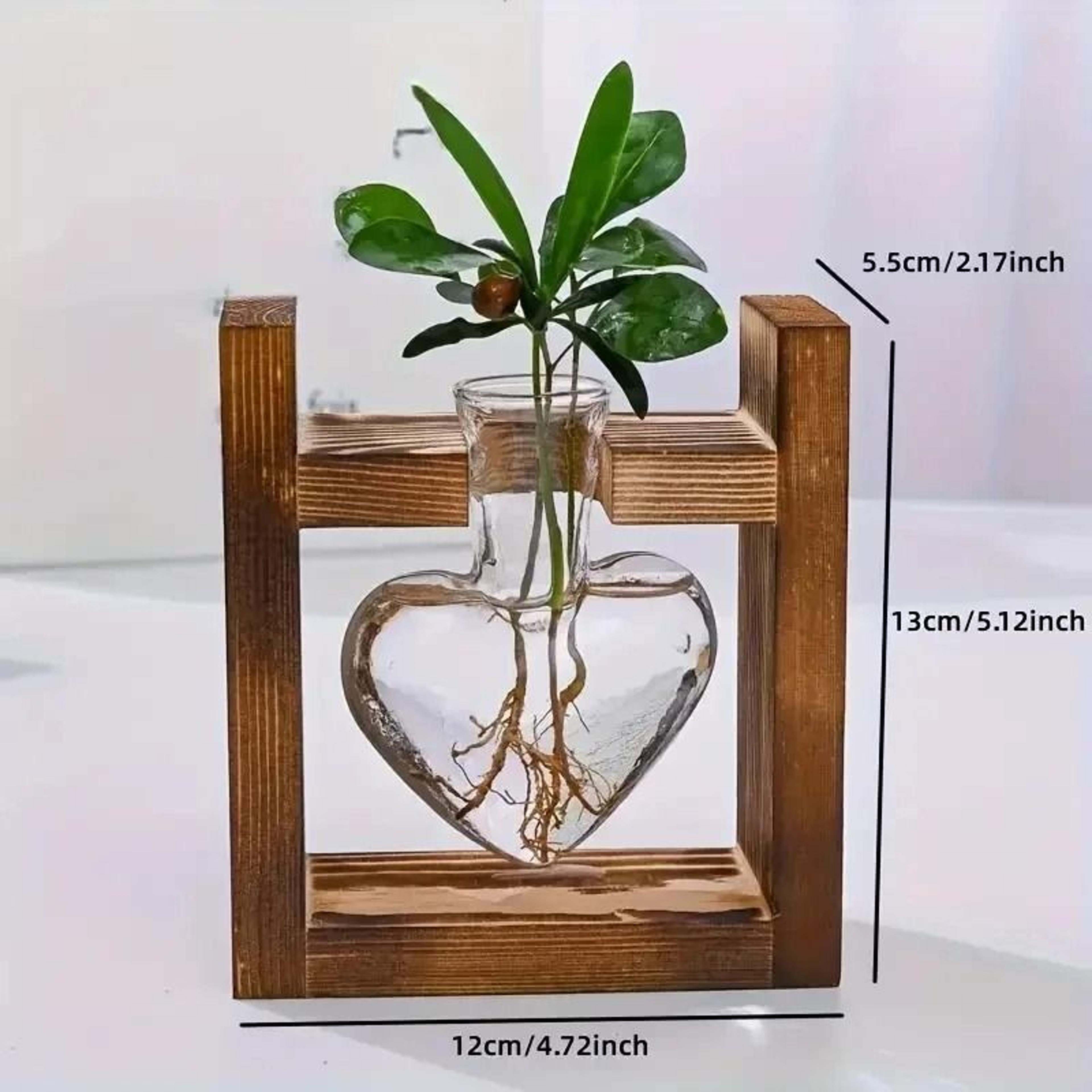 Transparent Heart Shaped Glass Vase With Wooden Frame For Hydroponic Plant Propagation 6