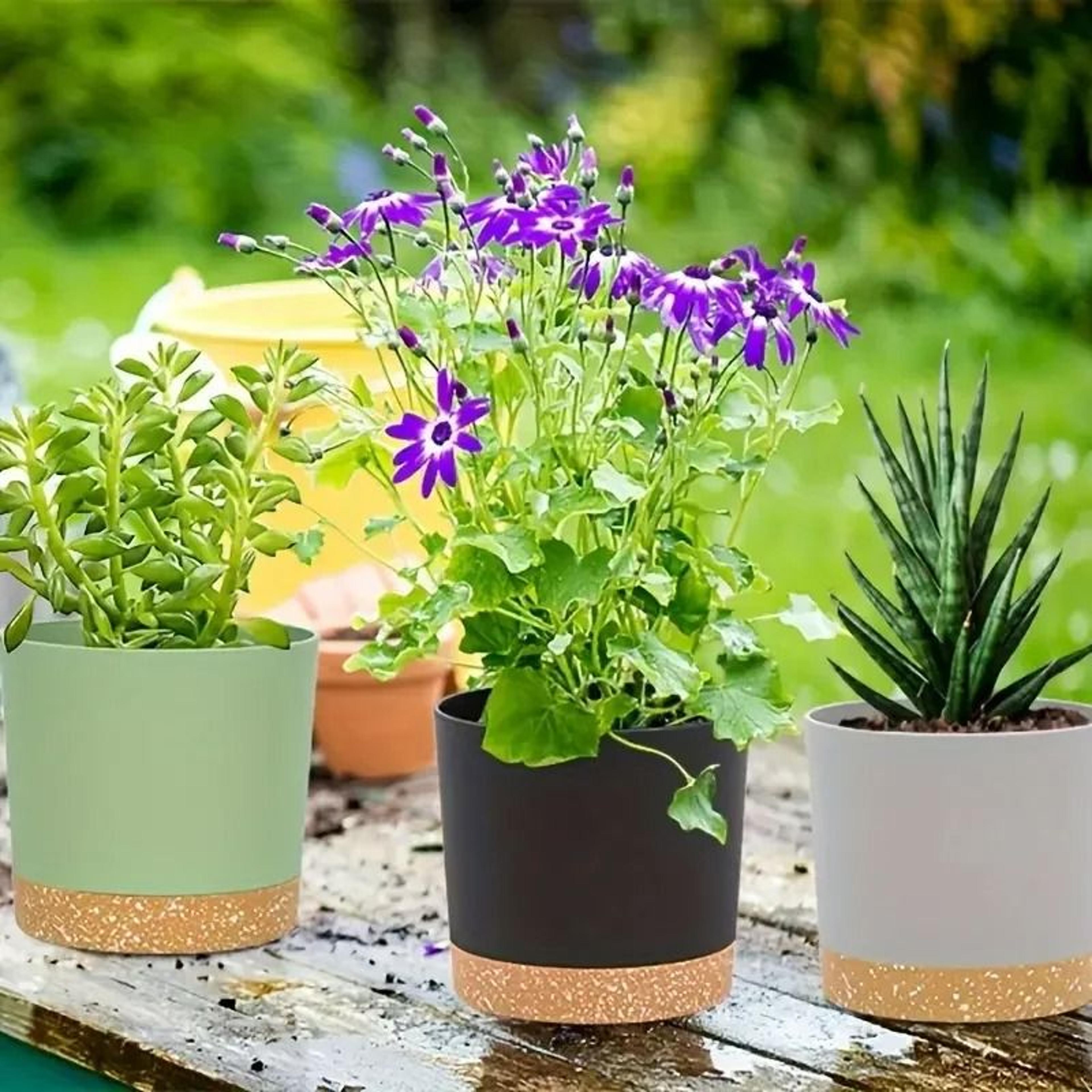 2 Pack Indoor Flower Pots With Drainage Holes And Removable Base 0
