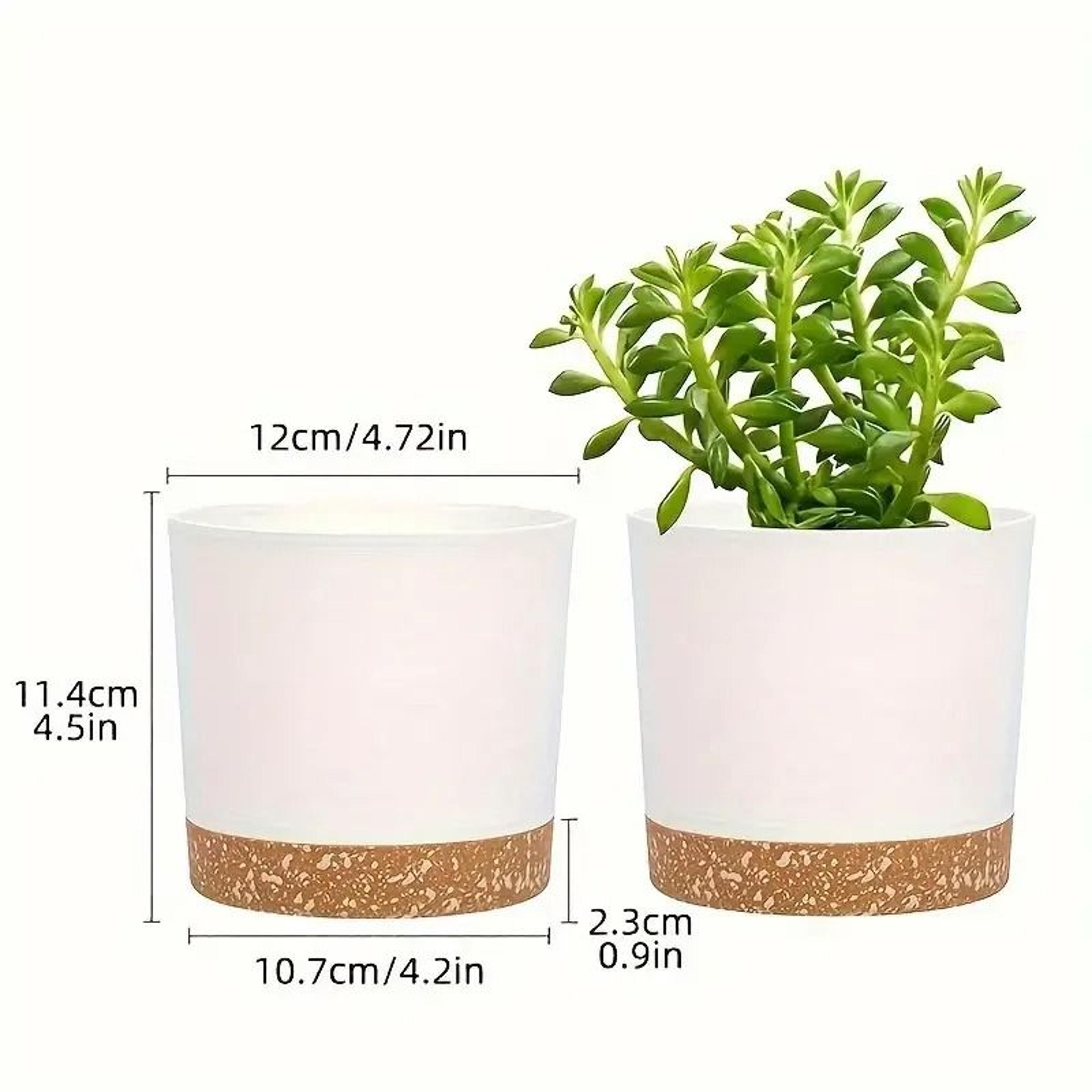 2 Pack Indoor Flower Pots With Drainage Holes And Removable Base 1