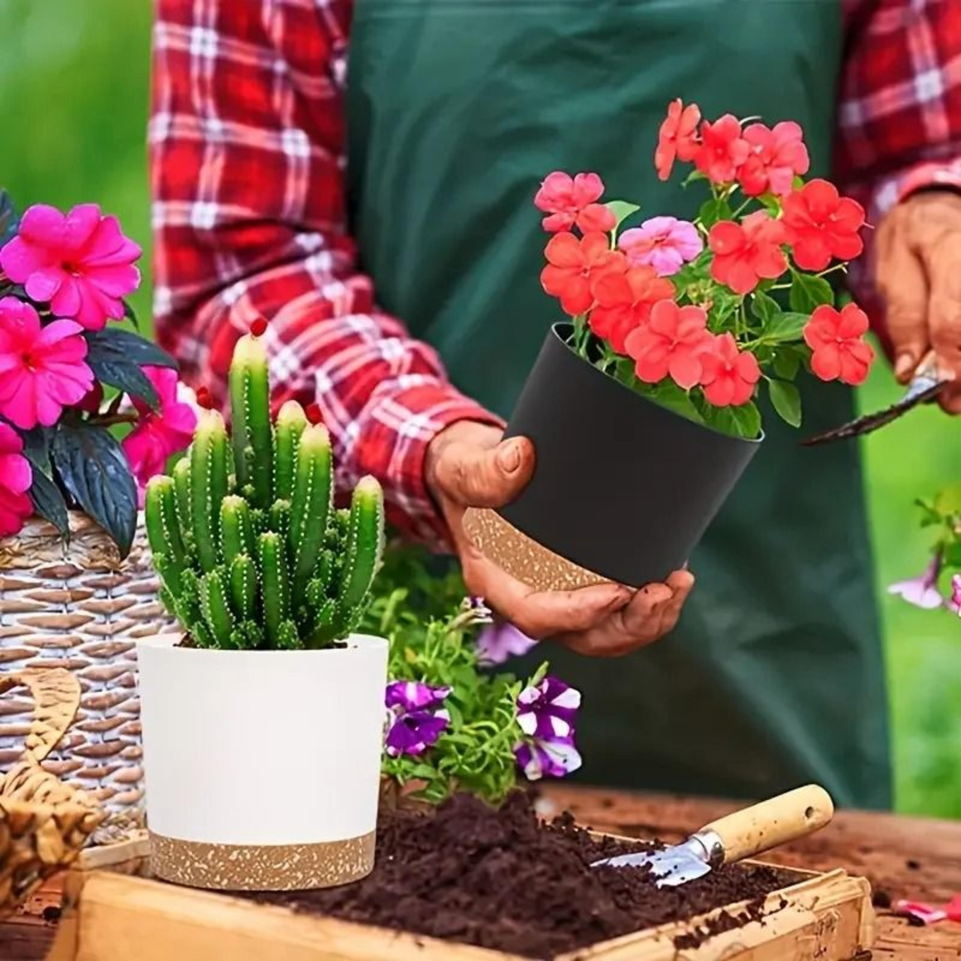2 Pack Indoor Flower Pots With Drainage Holes And Removable Base 3