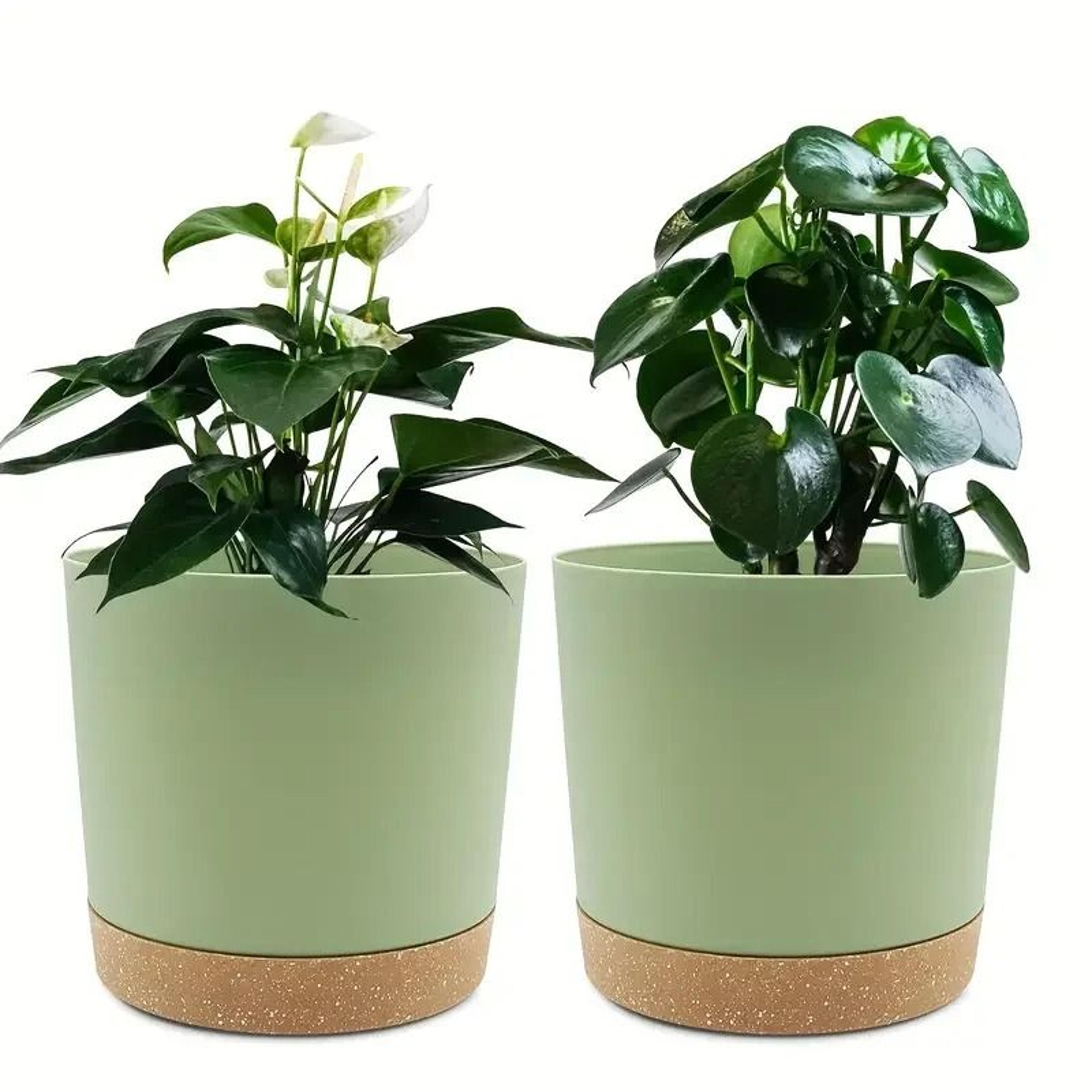 2 Pack Indoor Flower Pots With Drainage Holes And Removable Base 6