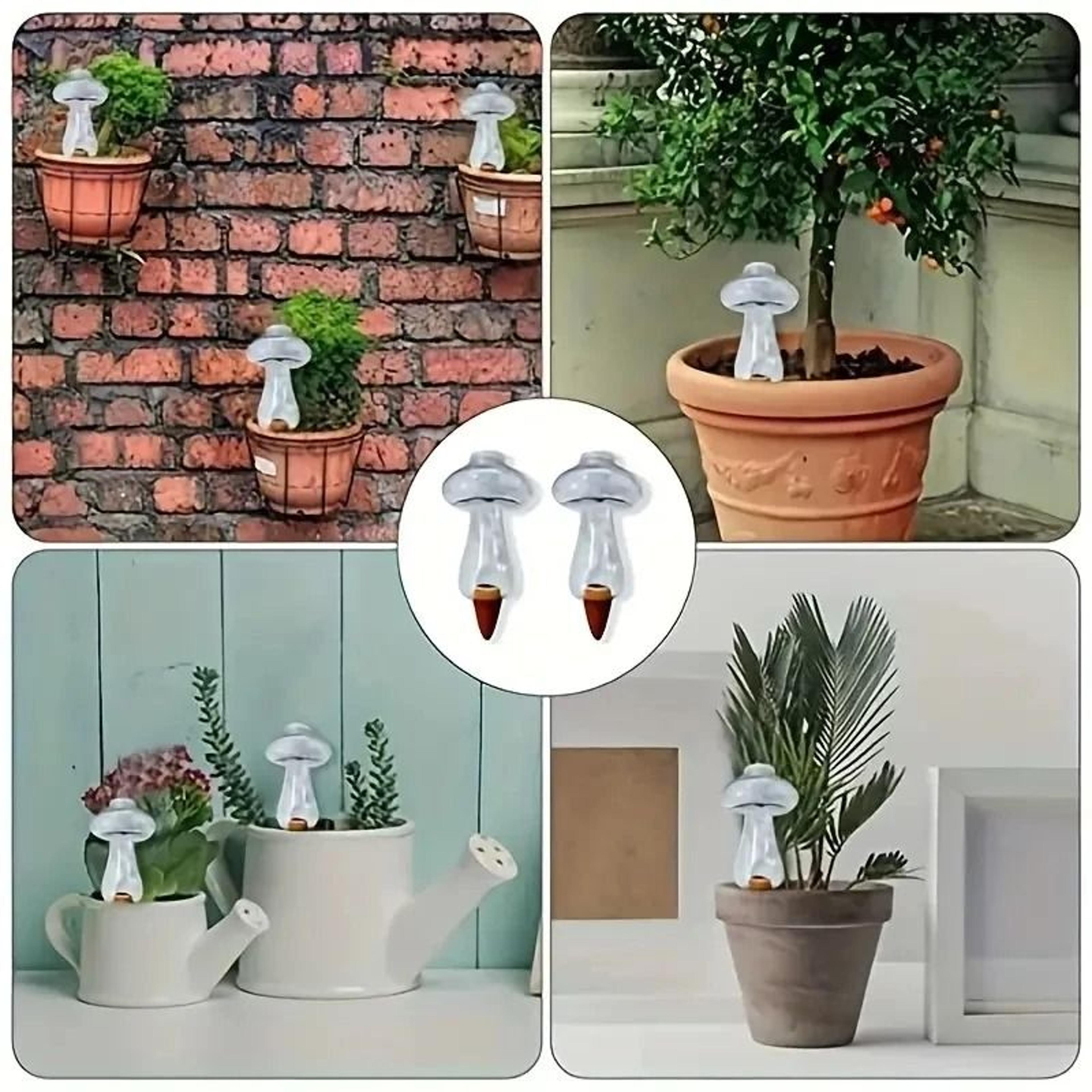 Love Shaped Automatic Plant Waterer Drip Irrigation Insert 1