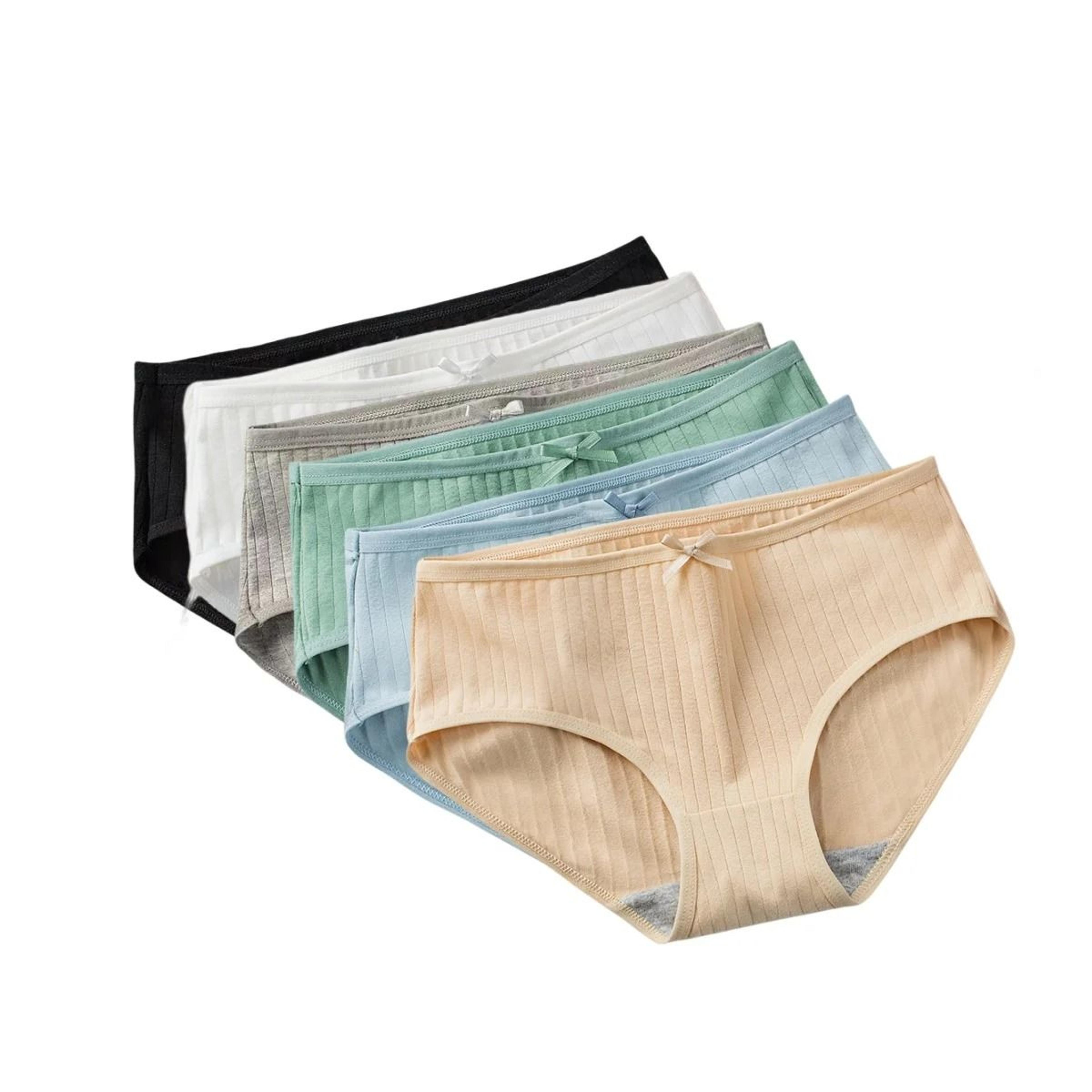 Womens Cotton Breathable Brief Underwear Soft Stretch Everyday Panties Six Piece Set 9