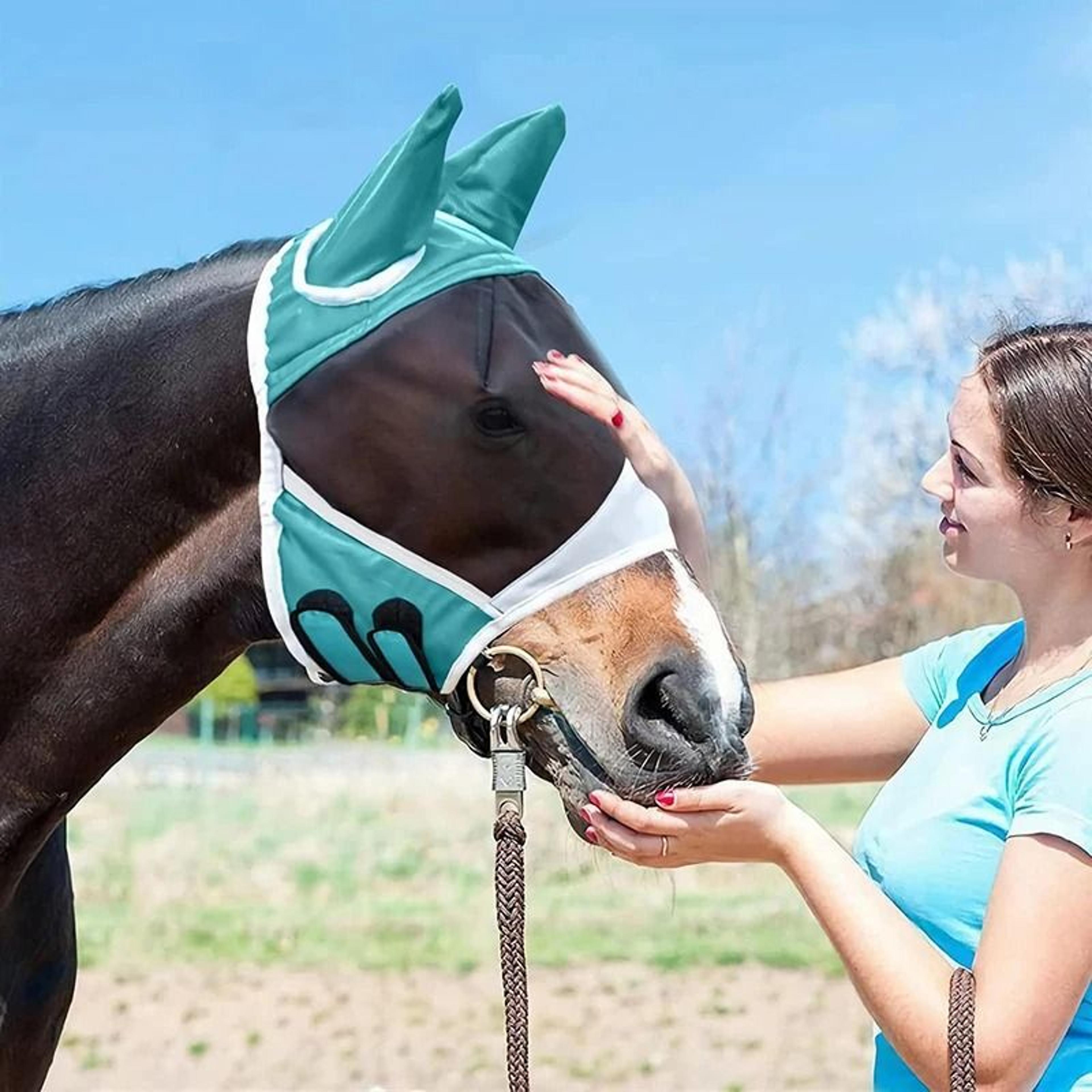 Fine Mesh Horse Fly Mask With Ears UV Protection For Equine Care 4