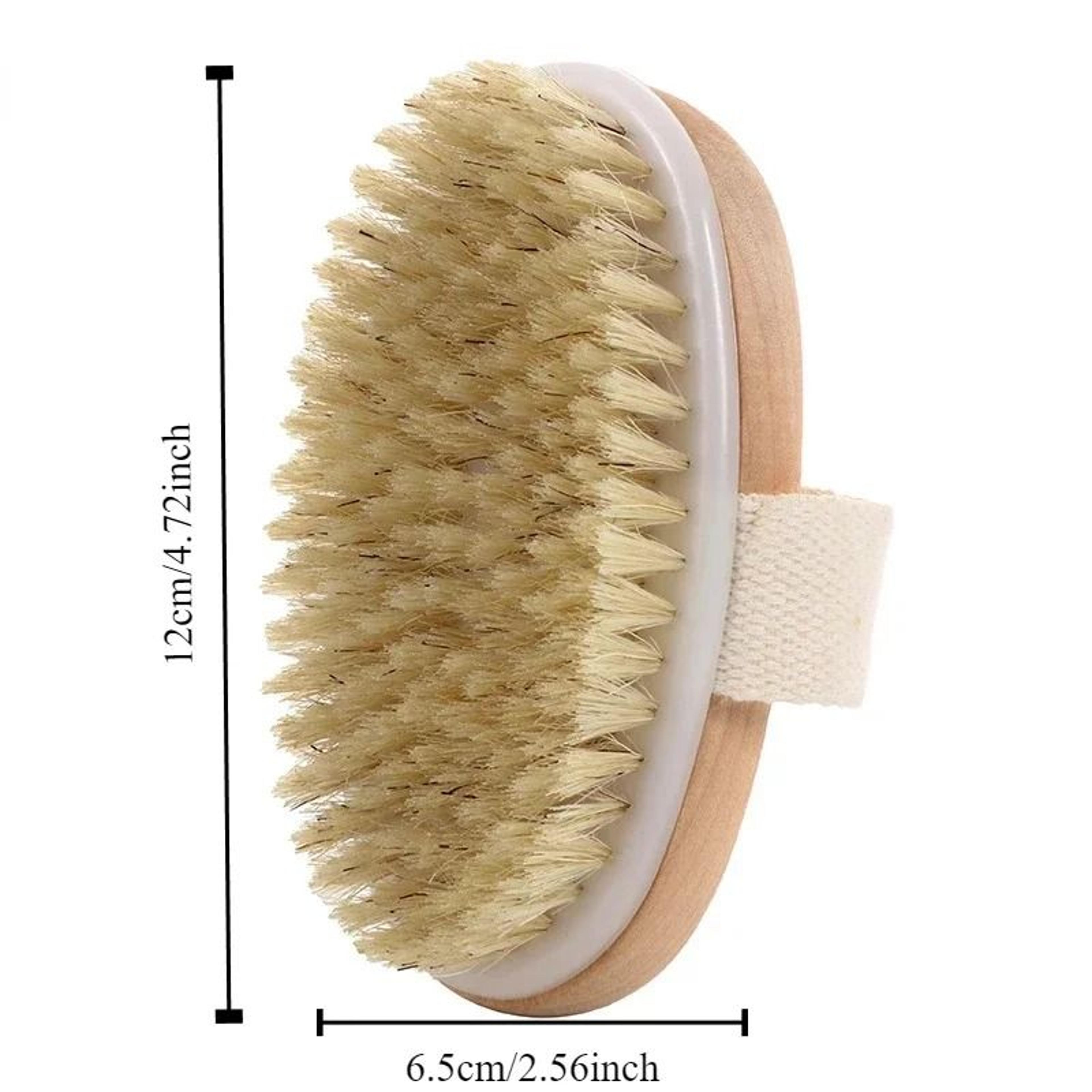 Natural Bristle Body Exfoliating Brush Wet And Dry Skin Scrub Bath Tool 6