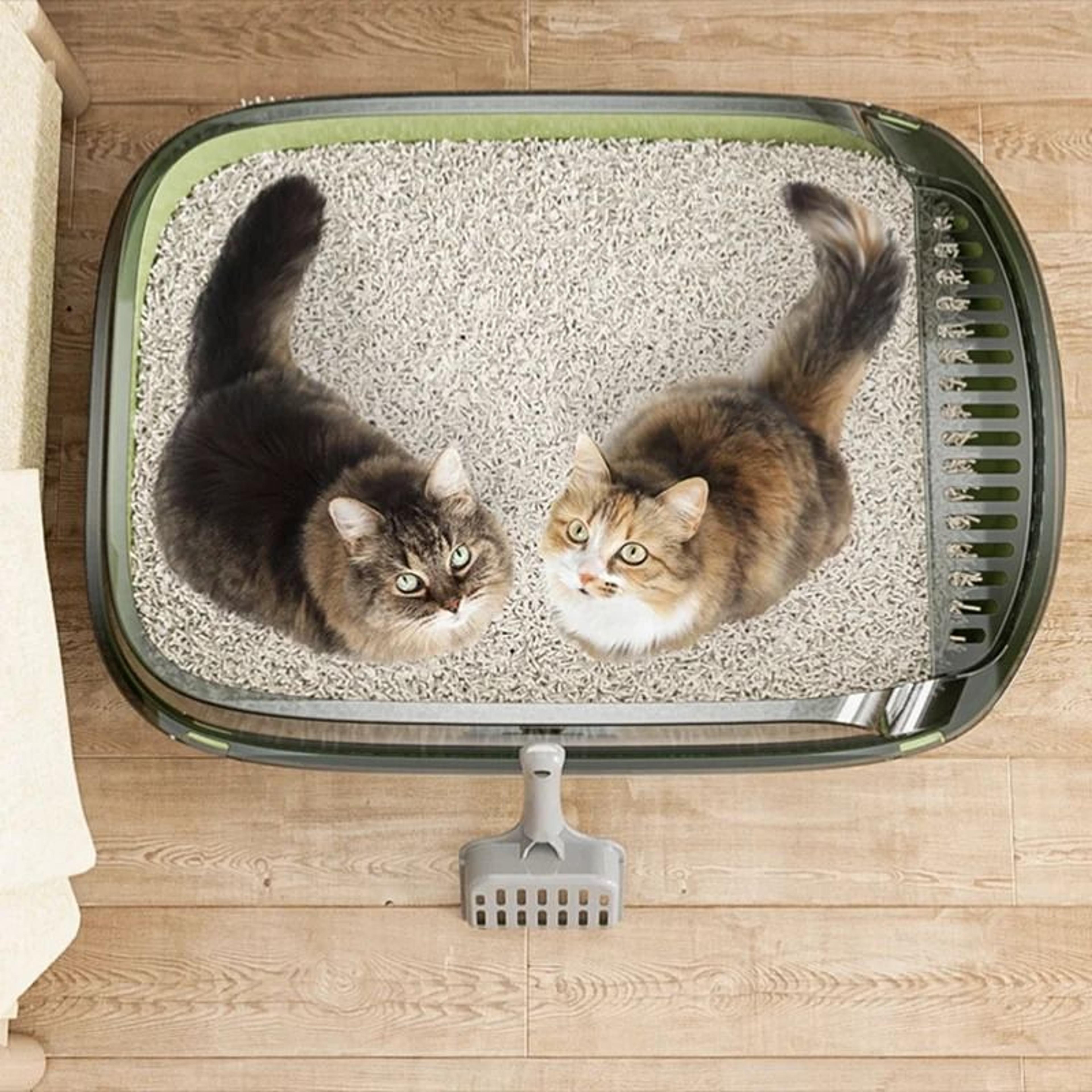 Semi Enclosed High Side Splashproof Cat Litter Box With Shield 1