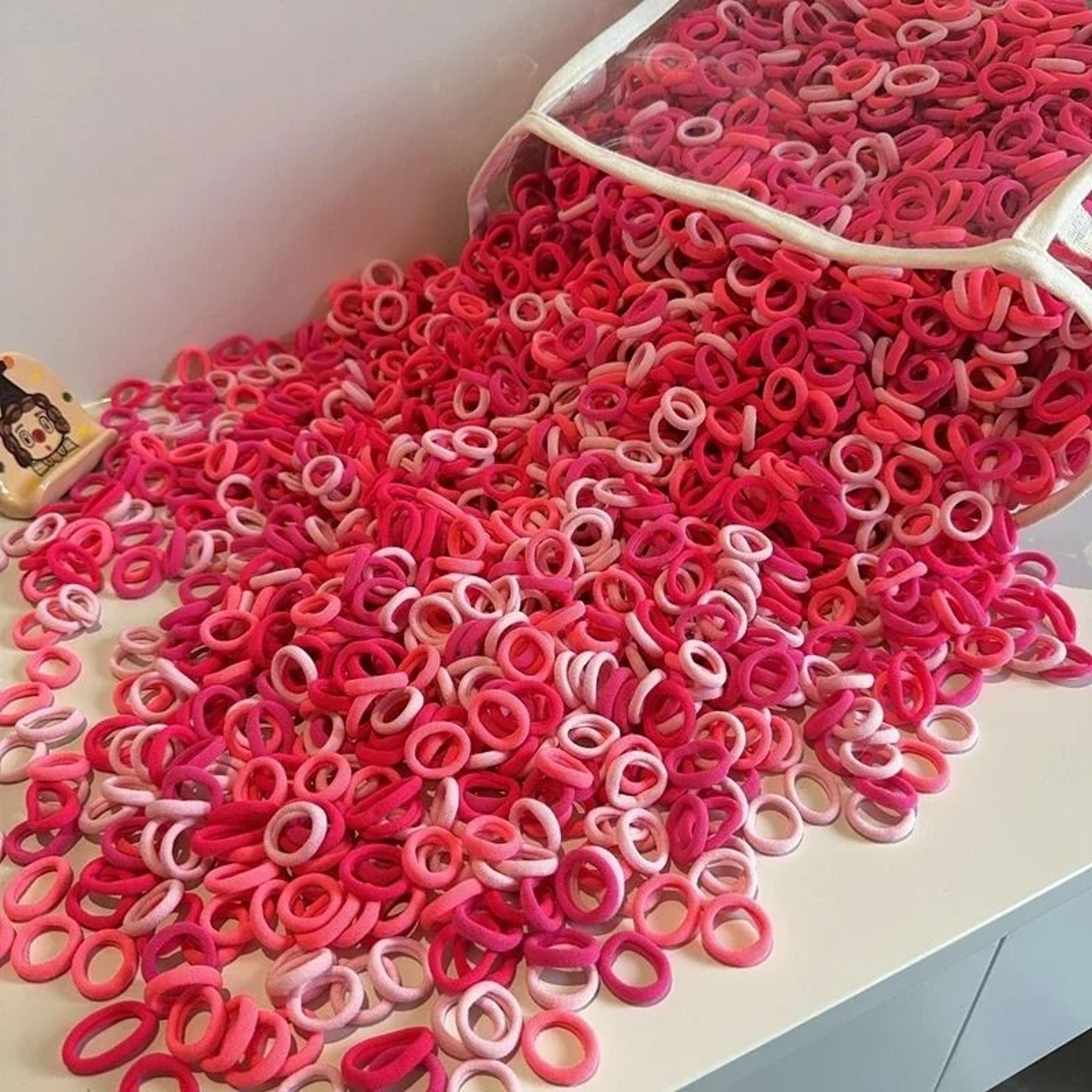 Colorful Basic Nylon Elastic Hair Ties  ProfessionalStandard Ponytail Holders 16