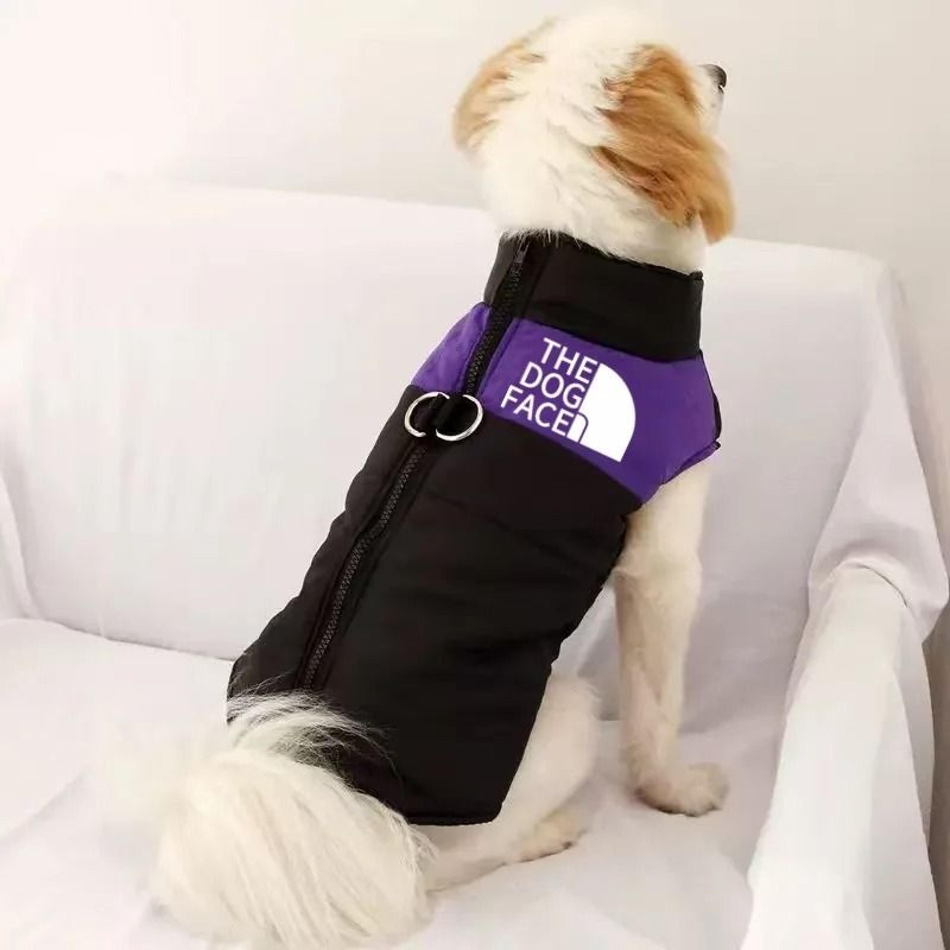 Dog Fashion Sports Outdoor Hoodie Coat 10