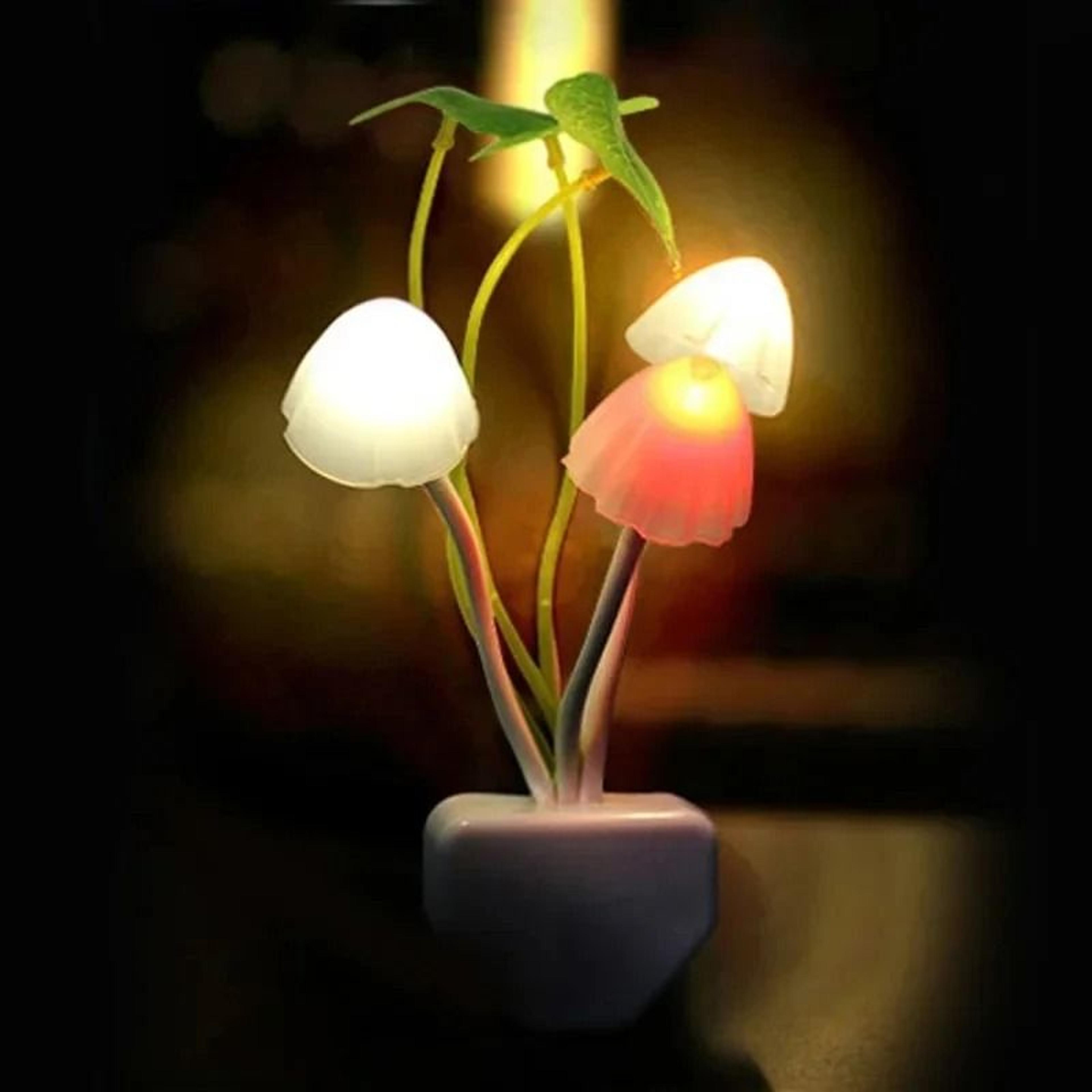 Novelty Mushroom Fungus Night Light 5