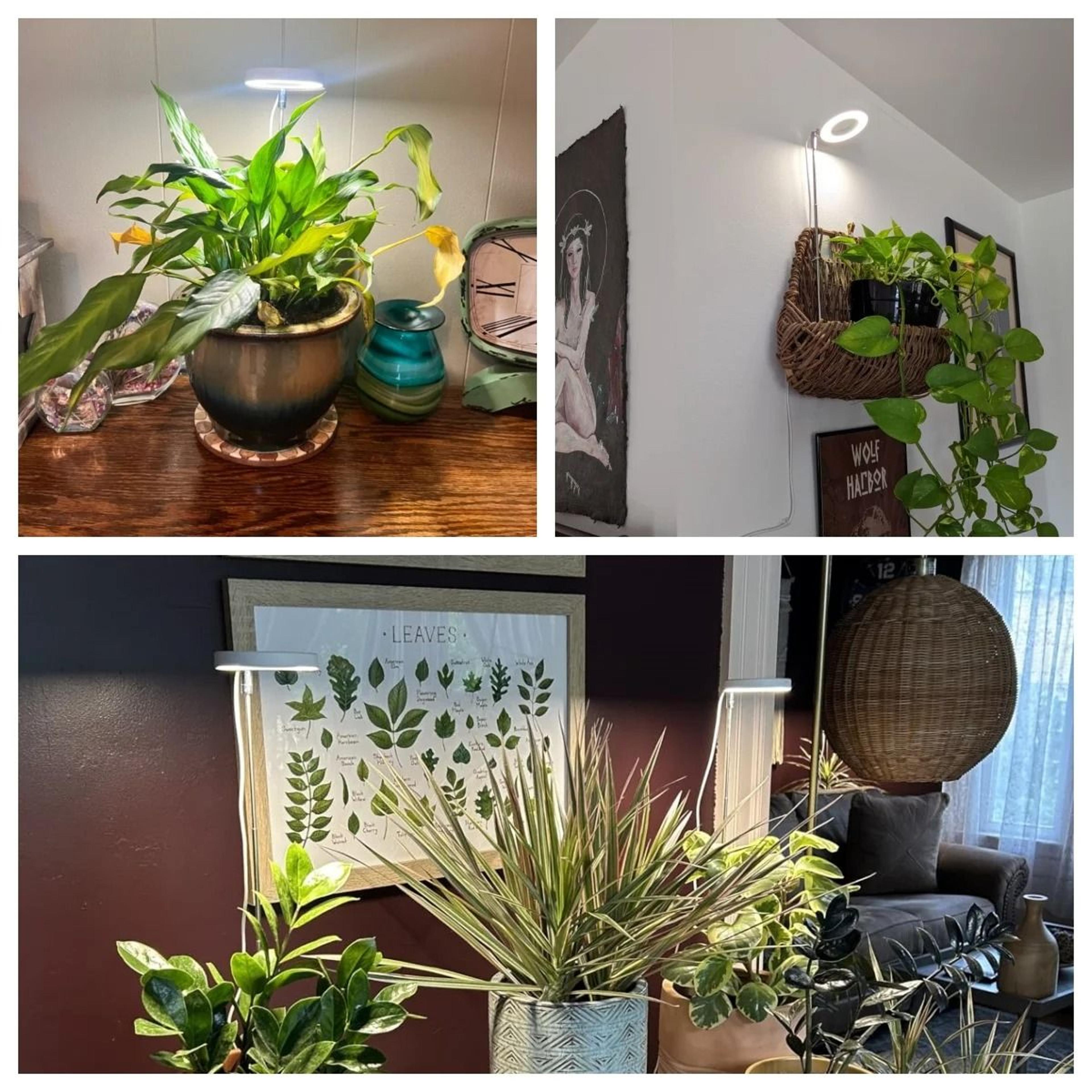 Full Spectrum Indoor Solar LED Growth Light 5