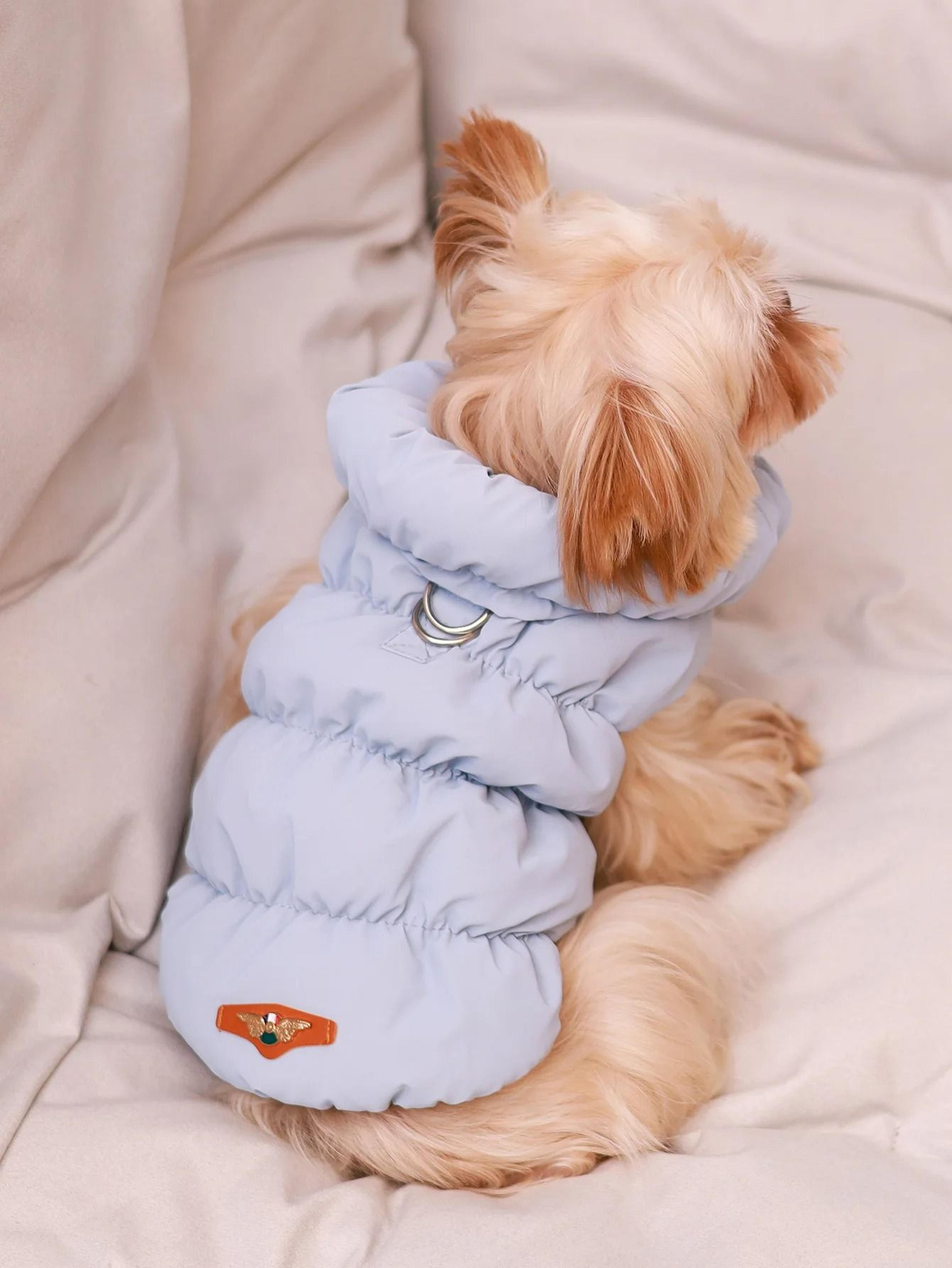 Premium Dog Jacket For AutumnWinter 1