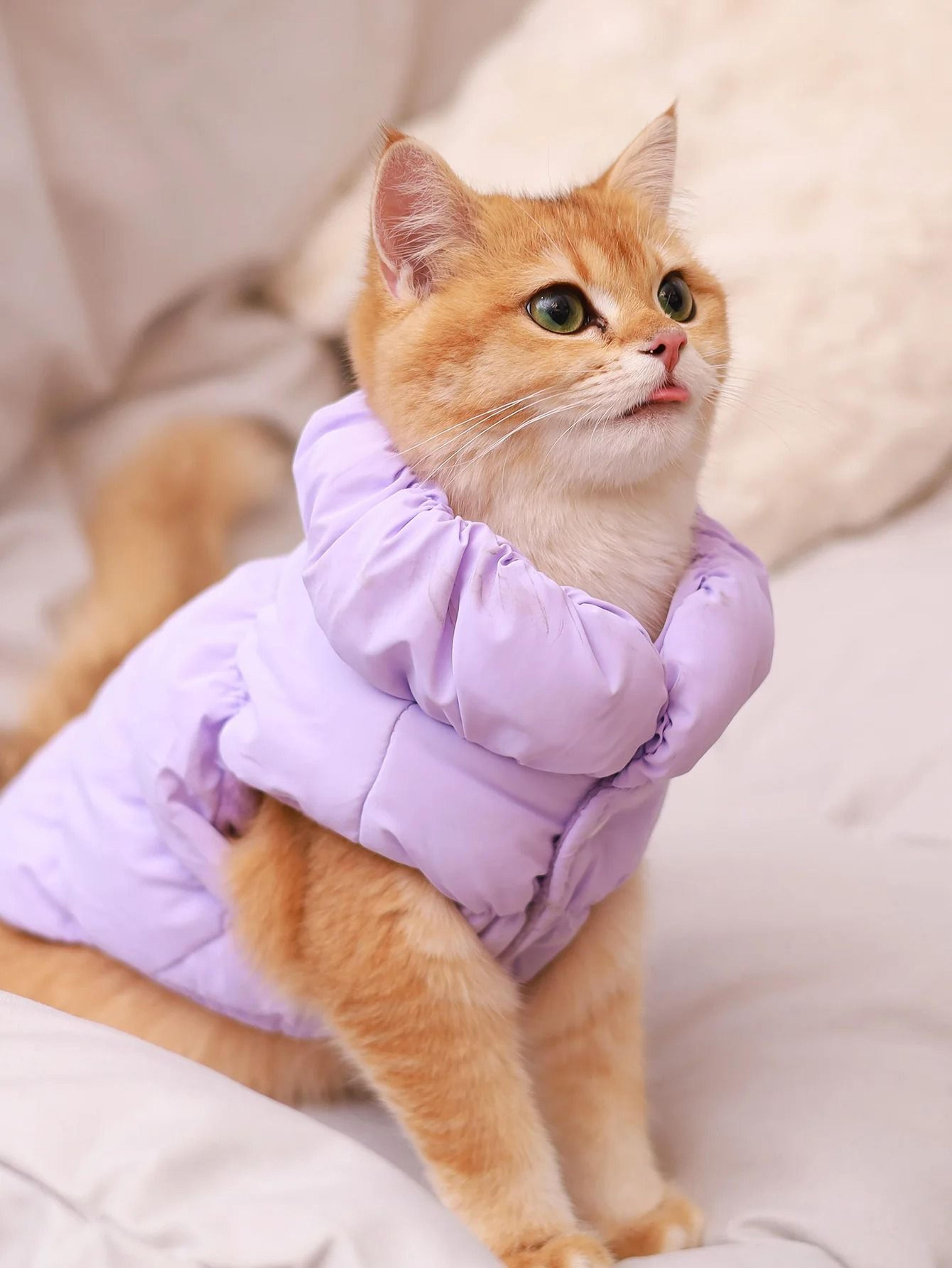 Premium Dog Jacket For AutumnWinter 2