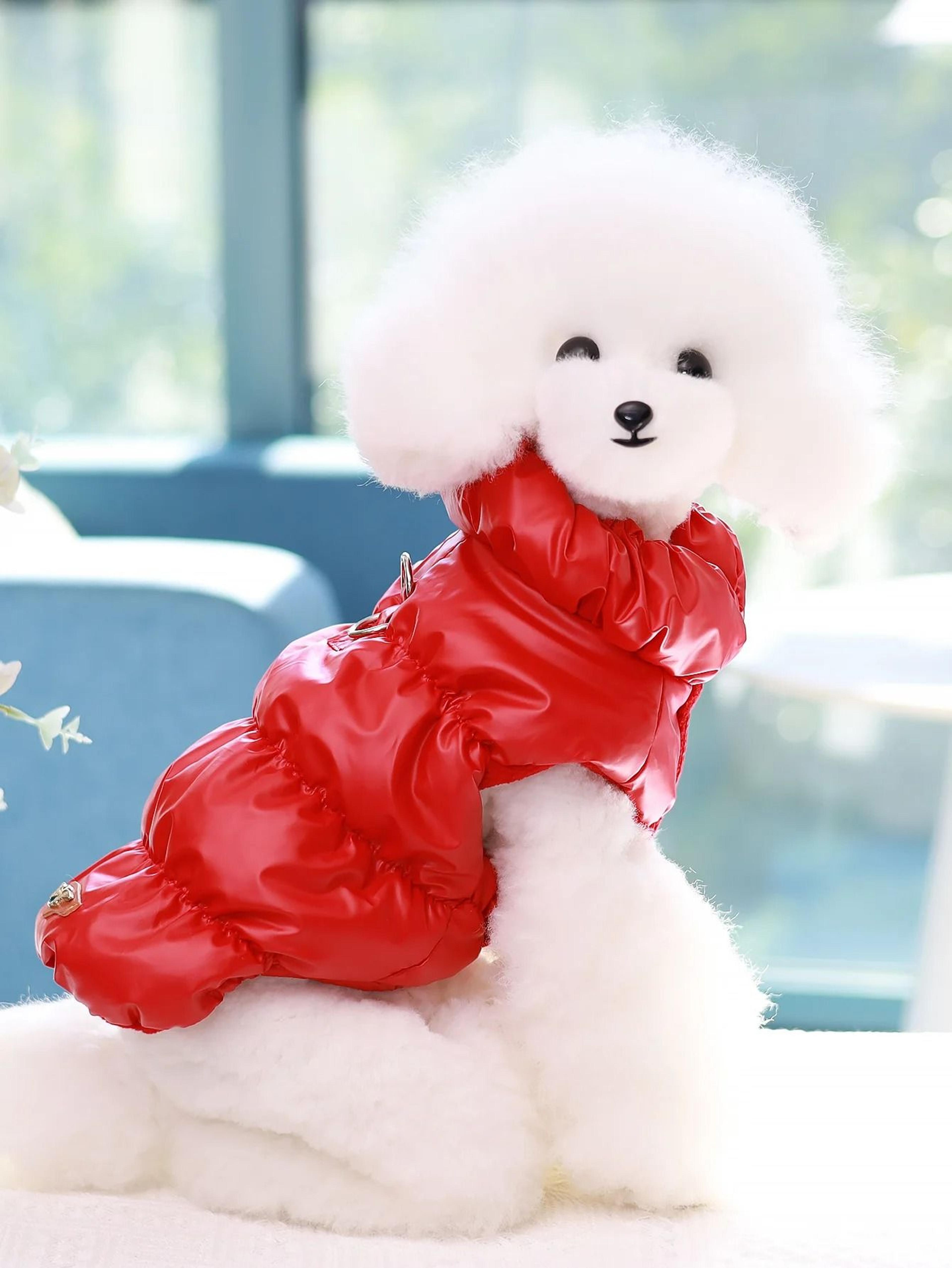 Premium Dog Jacket For AutumnWinter 8
