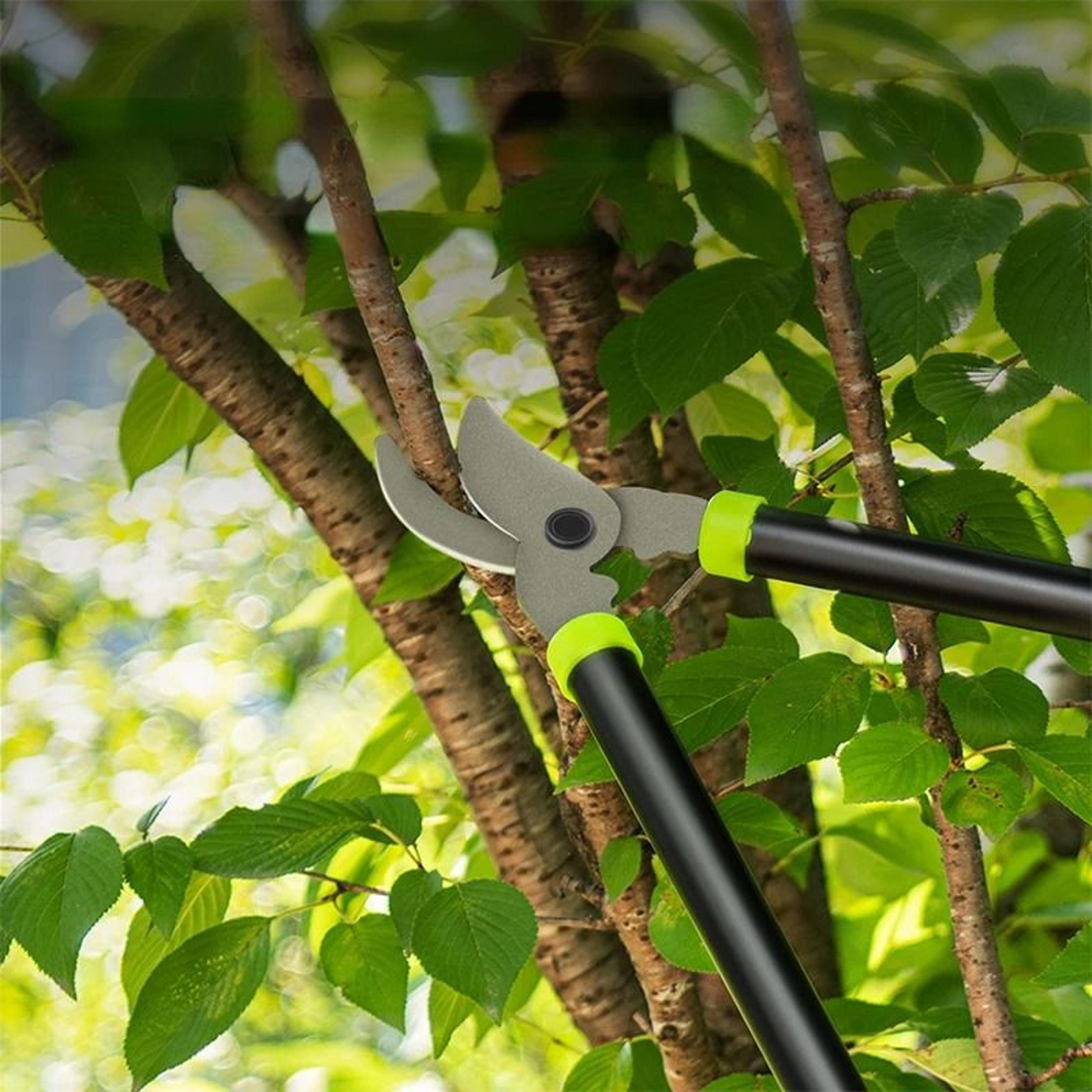 Deli Professional Garden Pruning Shears  HeavyDuty Tree Cutter  Grass Pruner For Home Landscaping 2