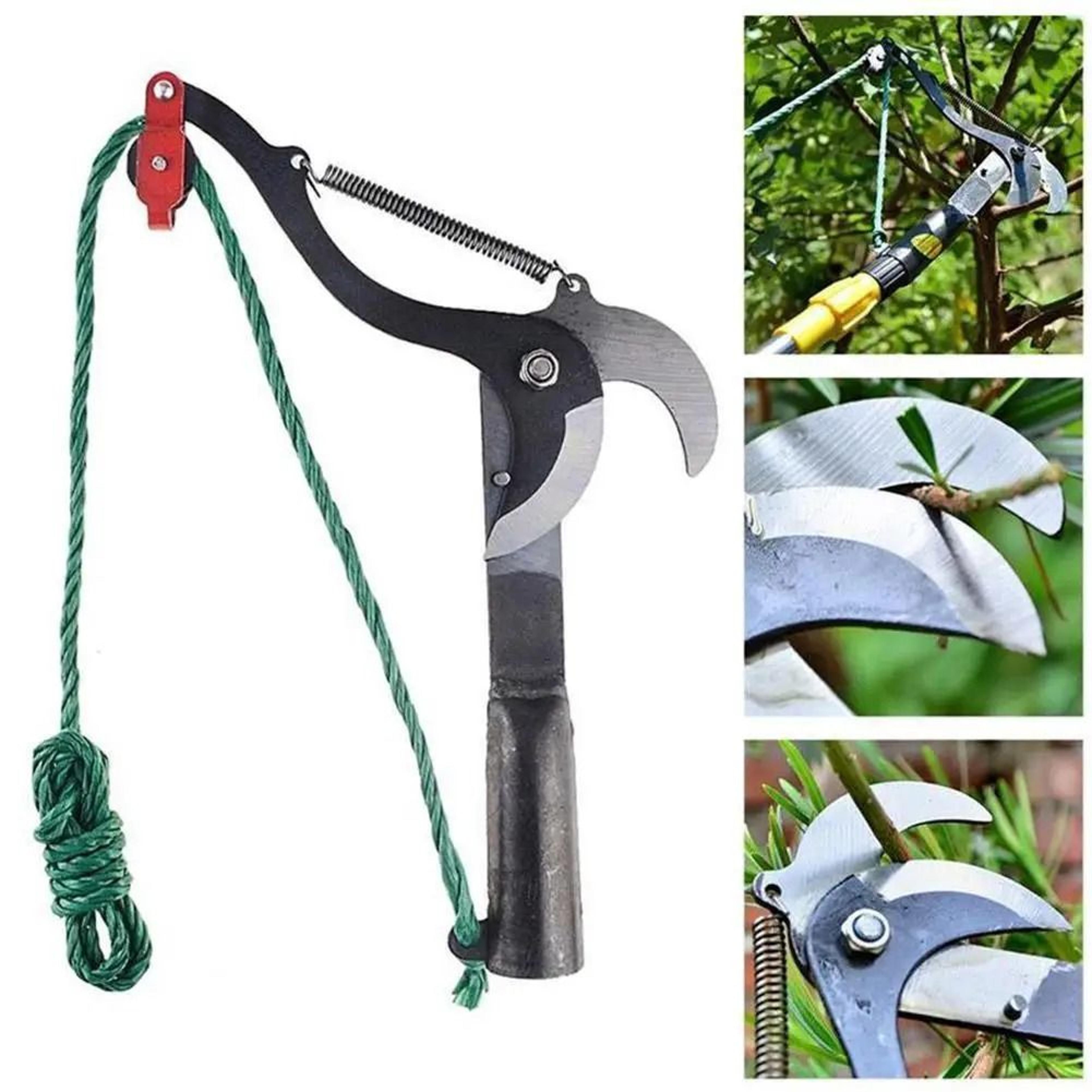 HighBranch Telescopic Scissors  Fruit Picker  PulleyAssisted Trimming  Harvesting Tool 3
